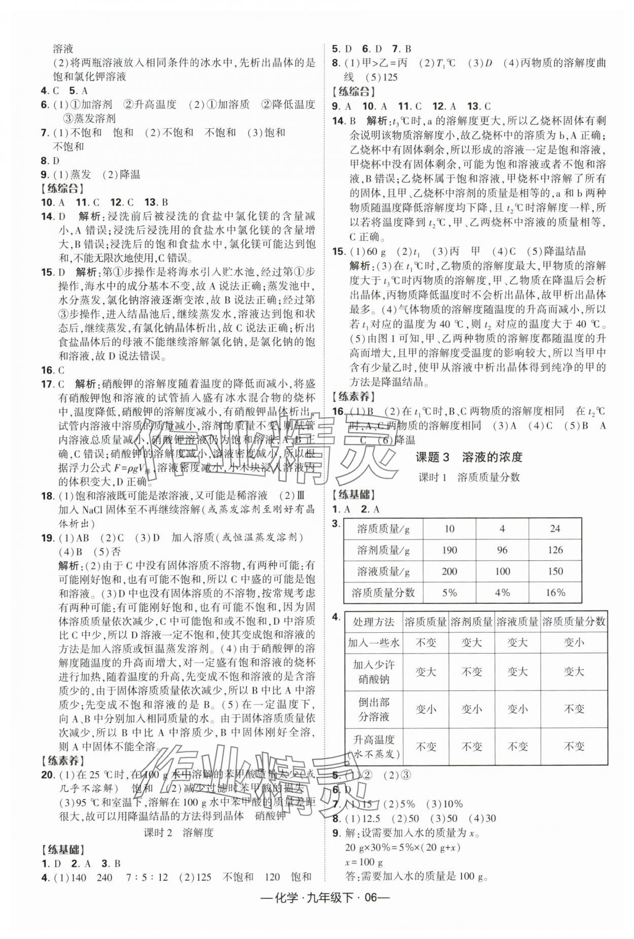 2024年经纶学典课时作业九年级化学下册人教版 第6页