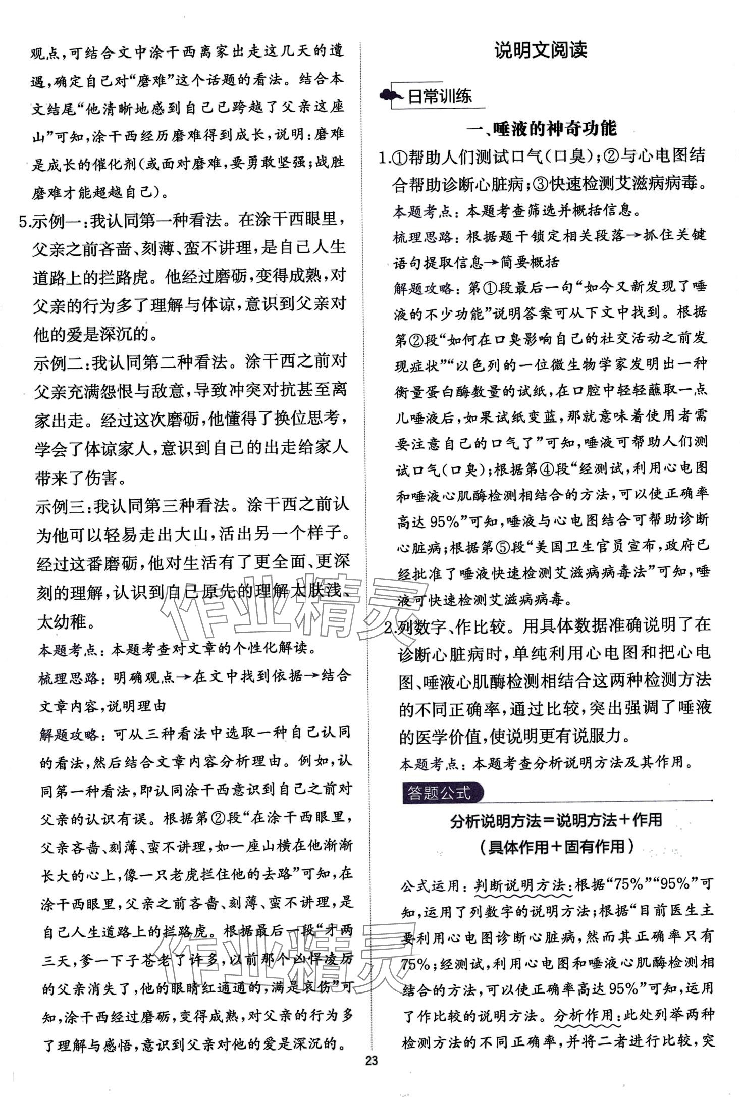2024年公式法阅读语文九年级+中考&nbsp;第23页