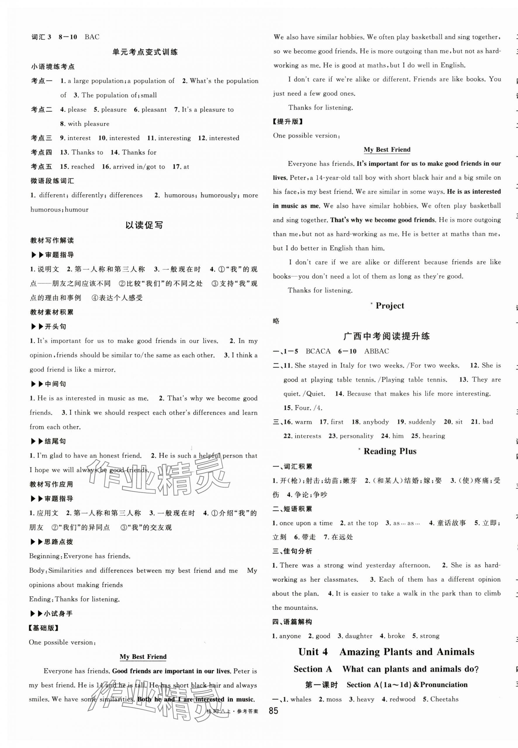 2025年名校课堂八年级英语上册人教版广西专版 第5页
