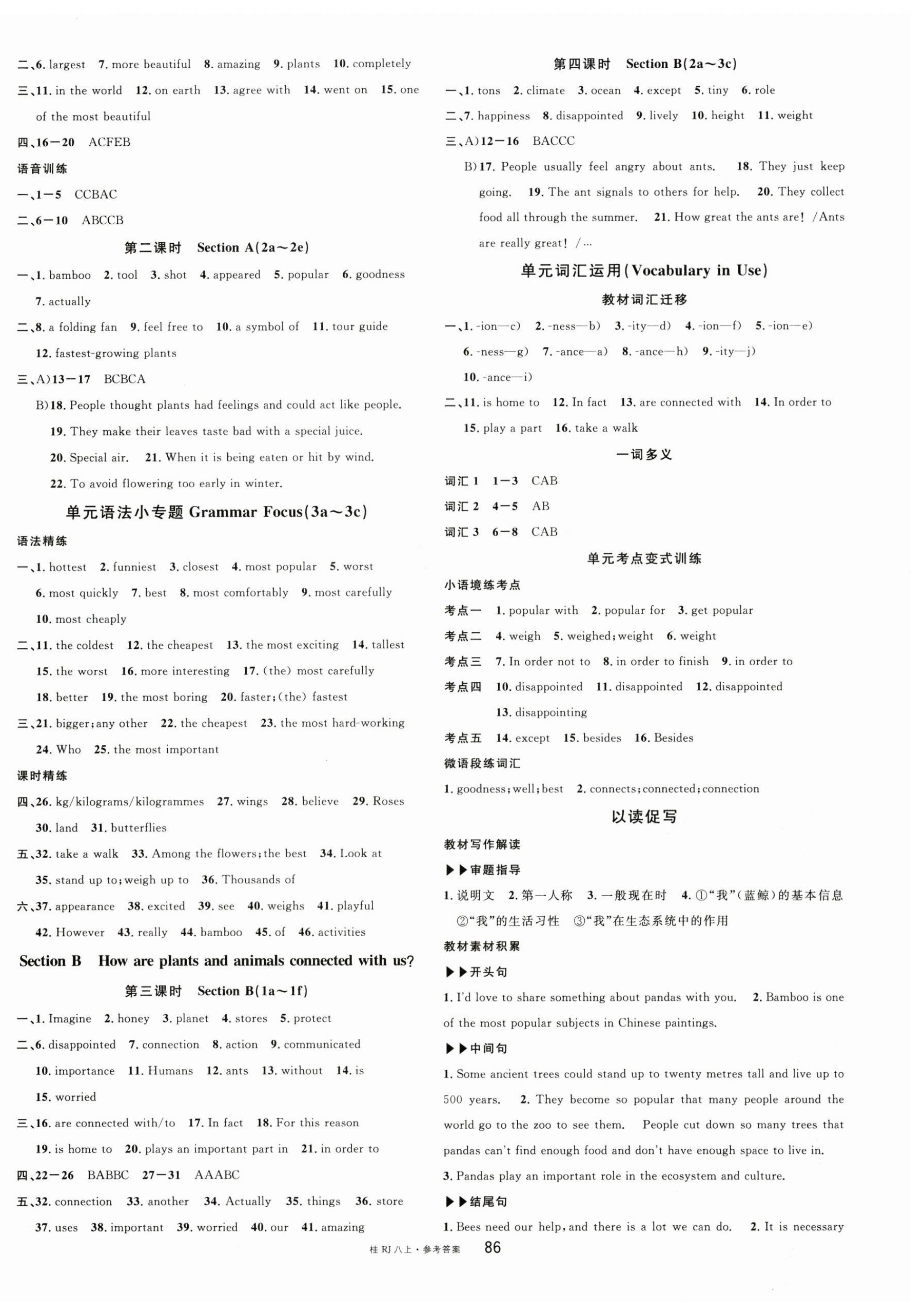 2025年名校课堂八年级英语上册人教版广西专版 第6页