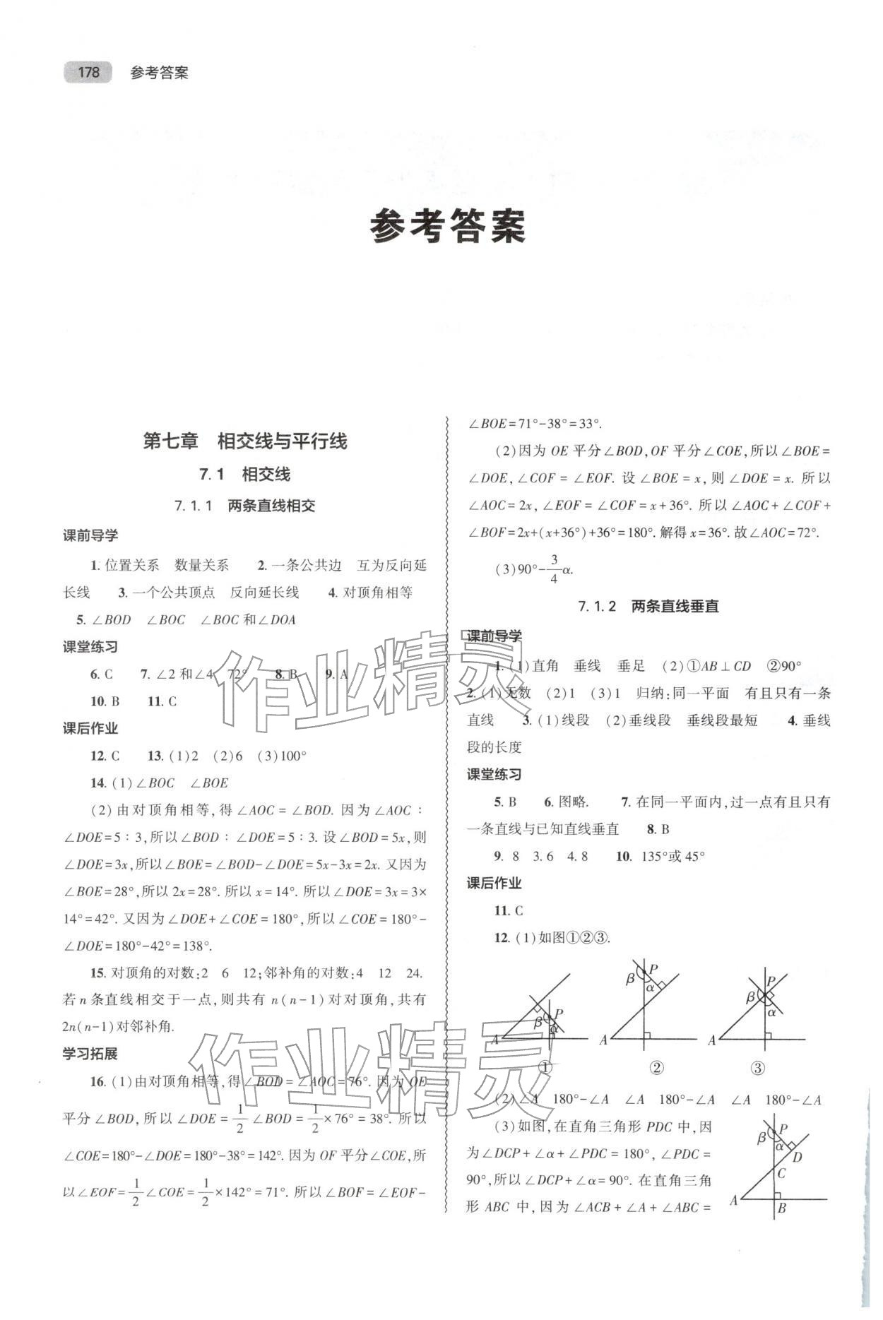 2026年同步练习册大象出版社七年级数学下册人教版&nbsp;参考答案第1页