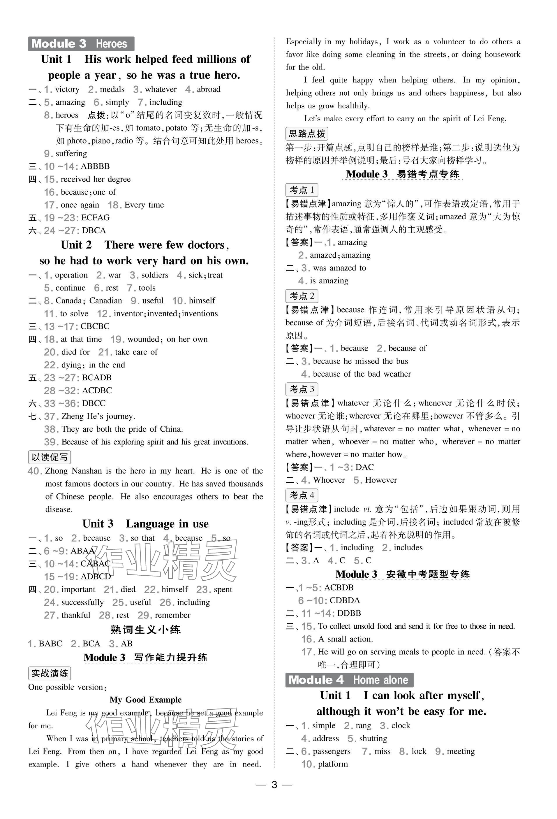2025年點(diǎn)撥訓(xùn)練九年級(jí)英語上冊(cè)外研版安徽專版&nbsp;參考答案第3頁(yè)