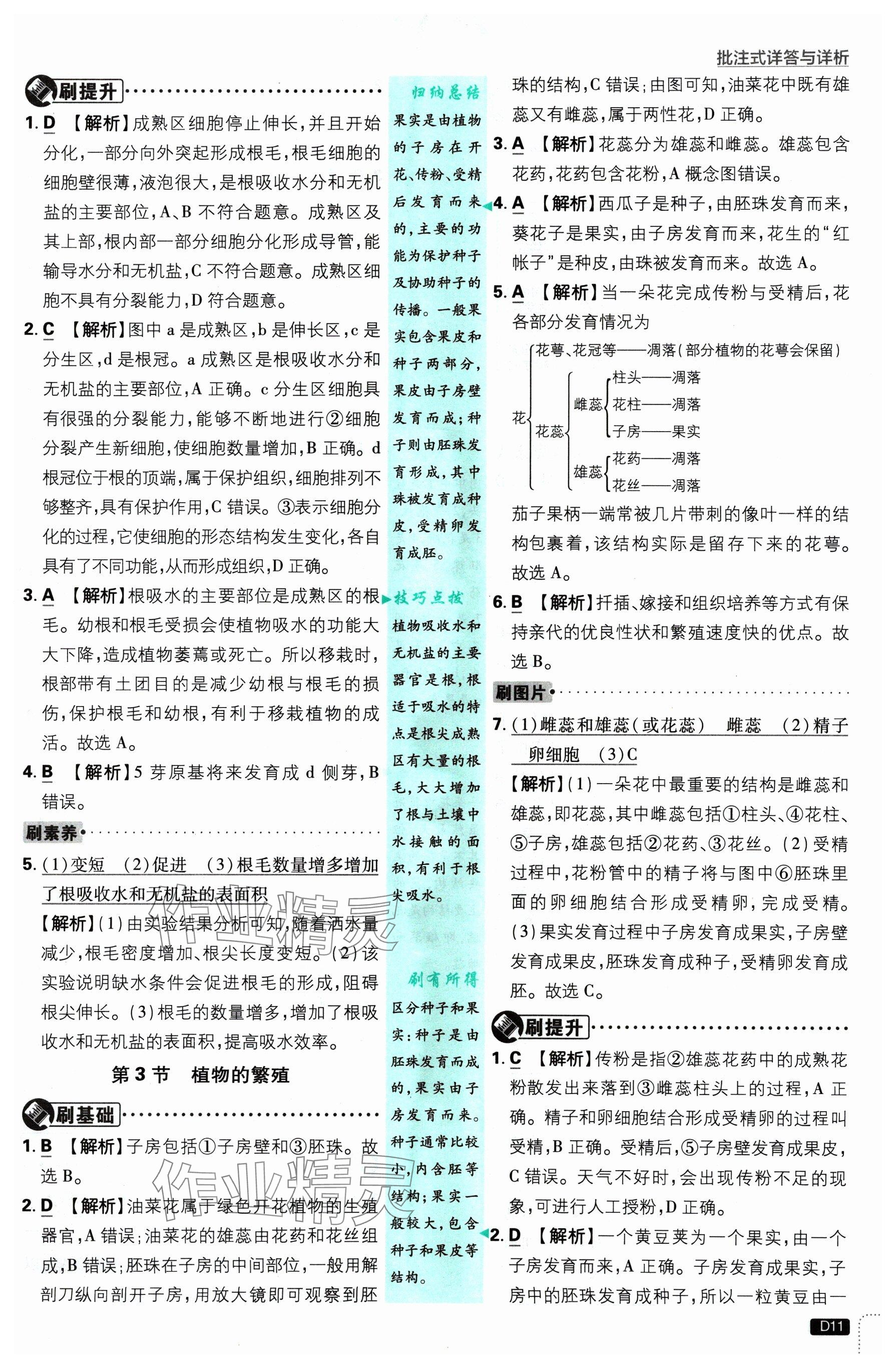 2025年初中必刷題七年級(jí)生物下冊(cè)蘇教版 參考答案第11頁