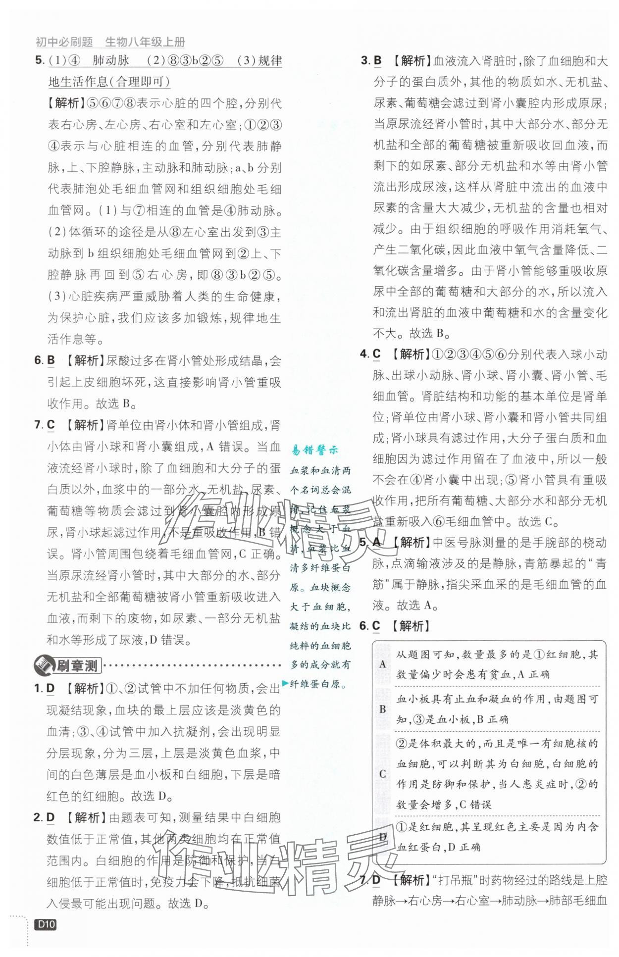 2024年初中必刷题八年级生物上册苏教版 第10页