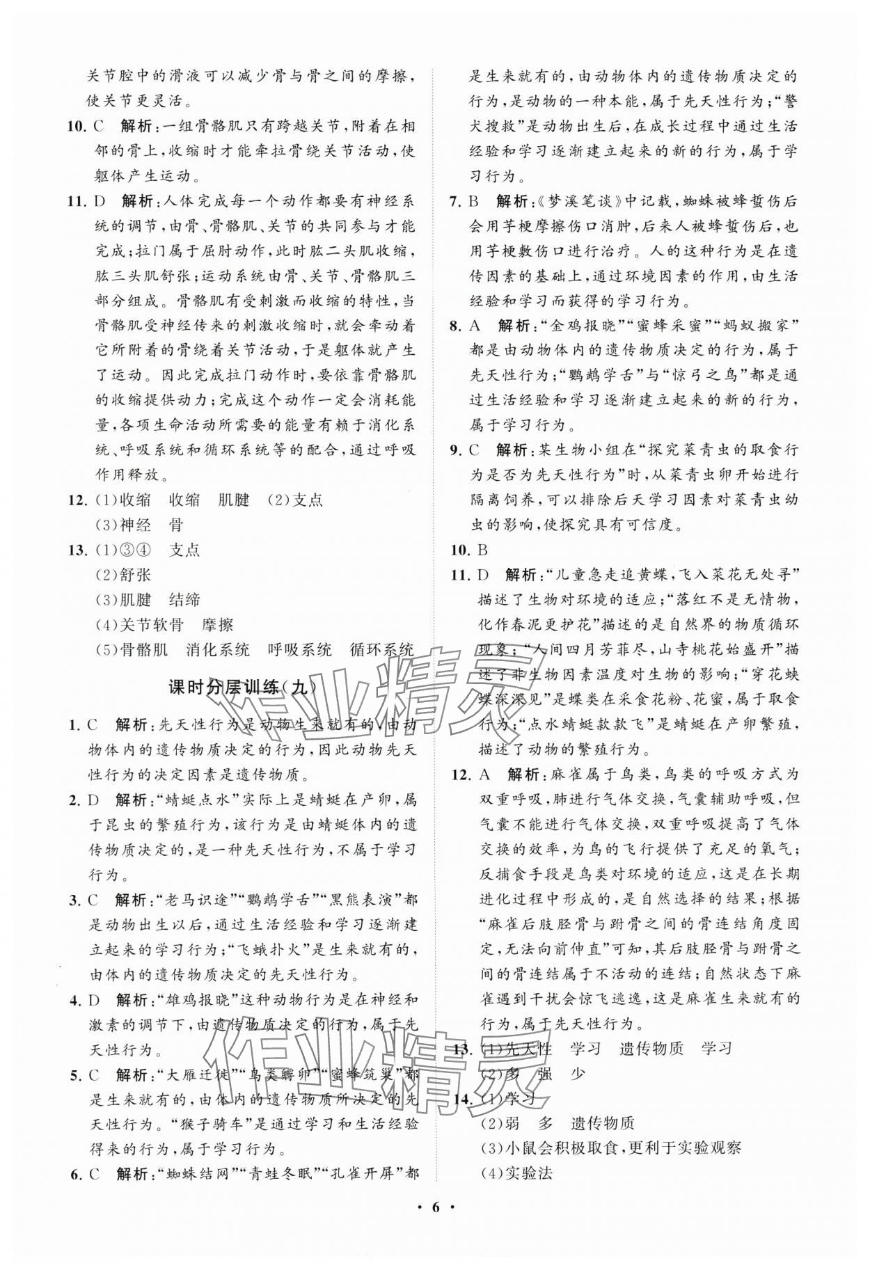 2024年初中同步练习册分层卷八年级生物学上册鲁科版五四制 参考答案第6页