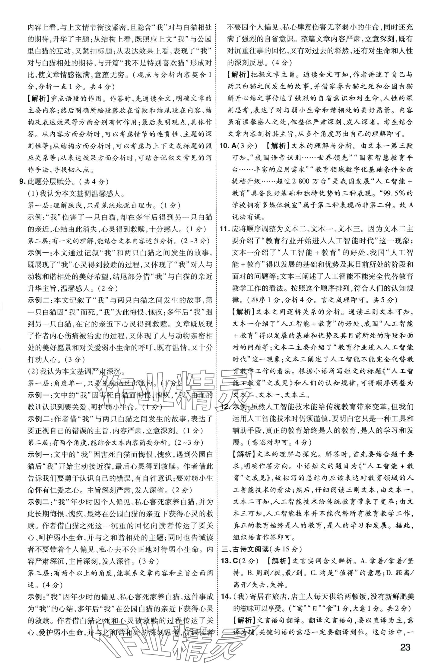 2024年中考導(dǎo)航東方出版社語(yǔ)文河南專版 第23頁(yè)