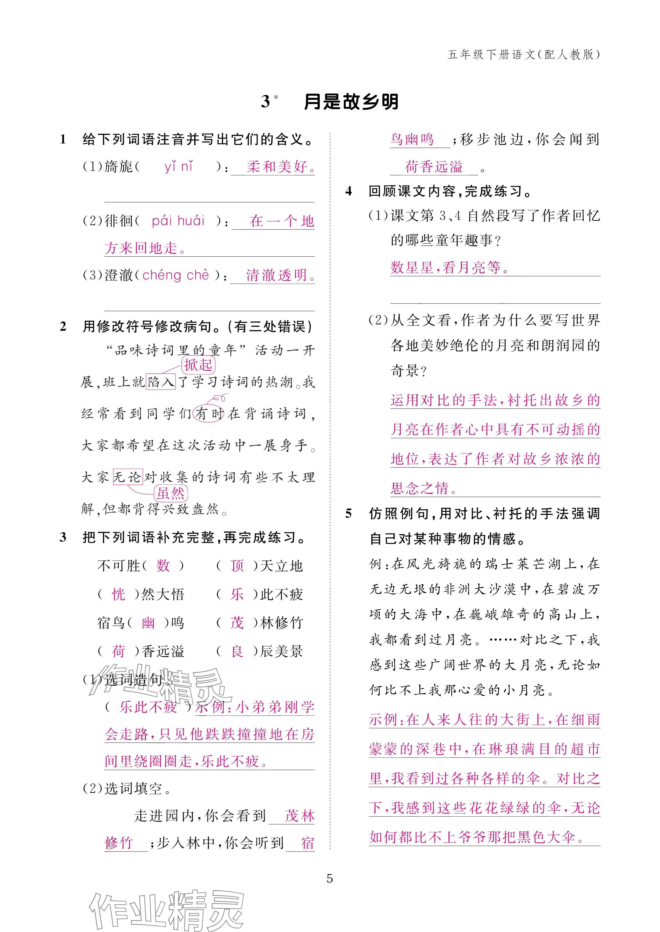 2025年作業(yè)本江西教育出版社五年級(jí)語(yǔ)文下冊(cè)人教版 參考答案第5頁(yè)
