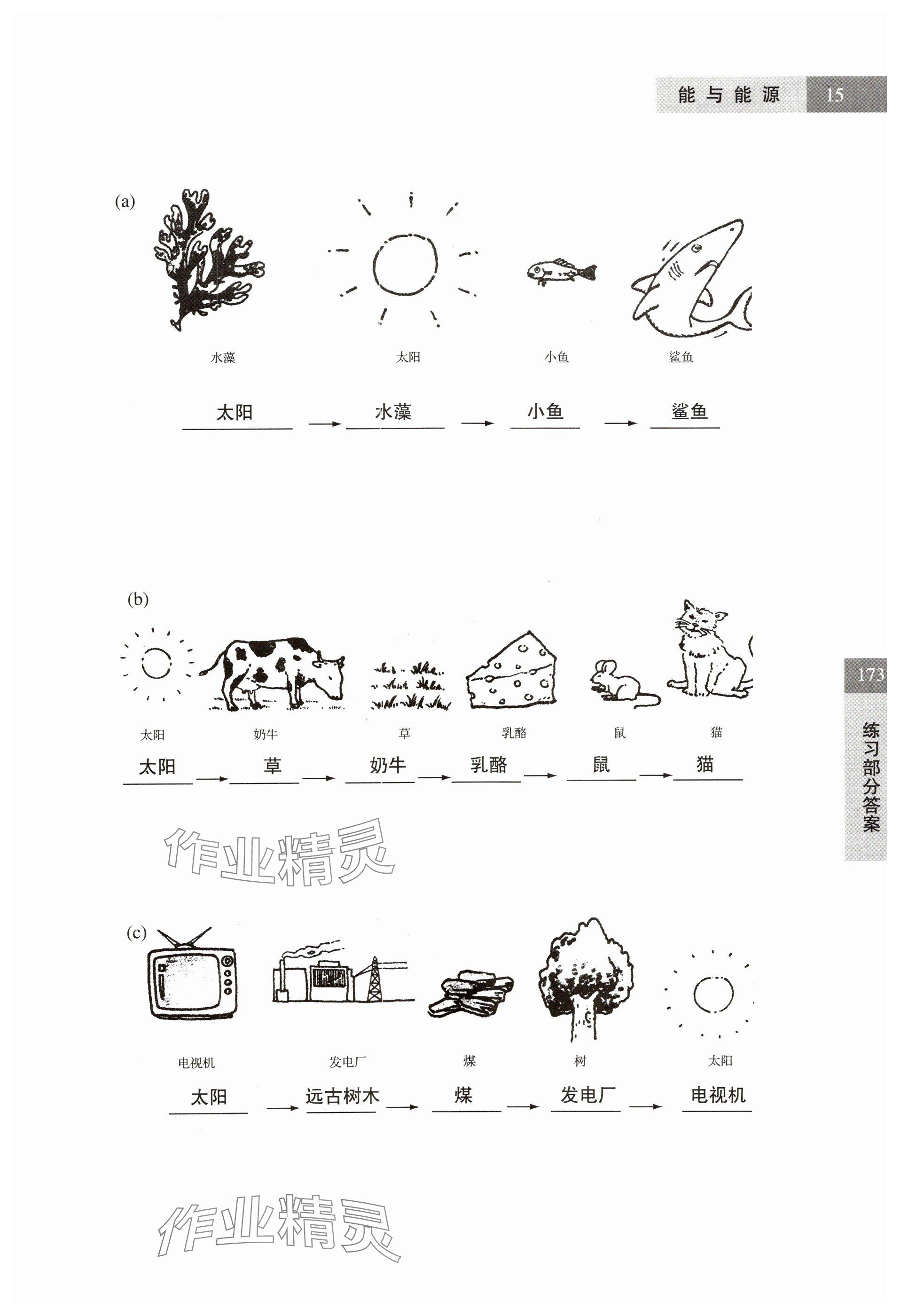 2024年練習部分六年級科學第二學期滬教版54制 參考答案第15頁