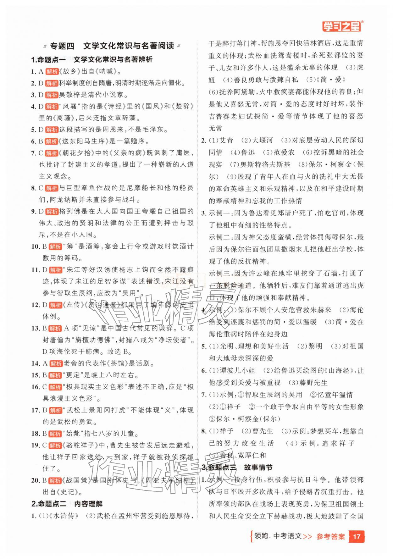 25年领跑中考语文一轮总复习辽宁专版&nbsp;参考答案第17页