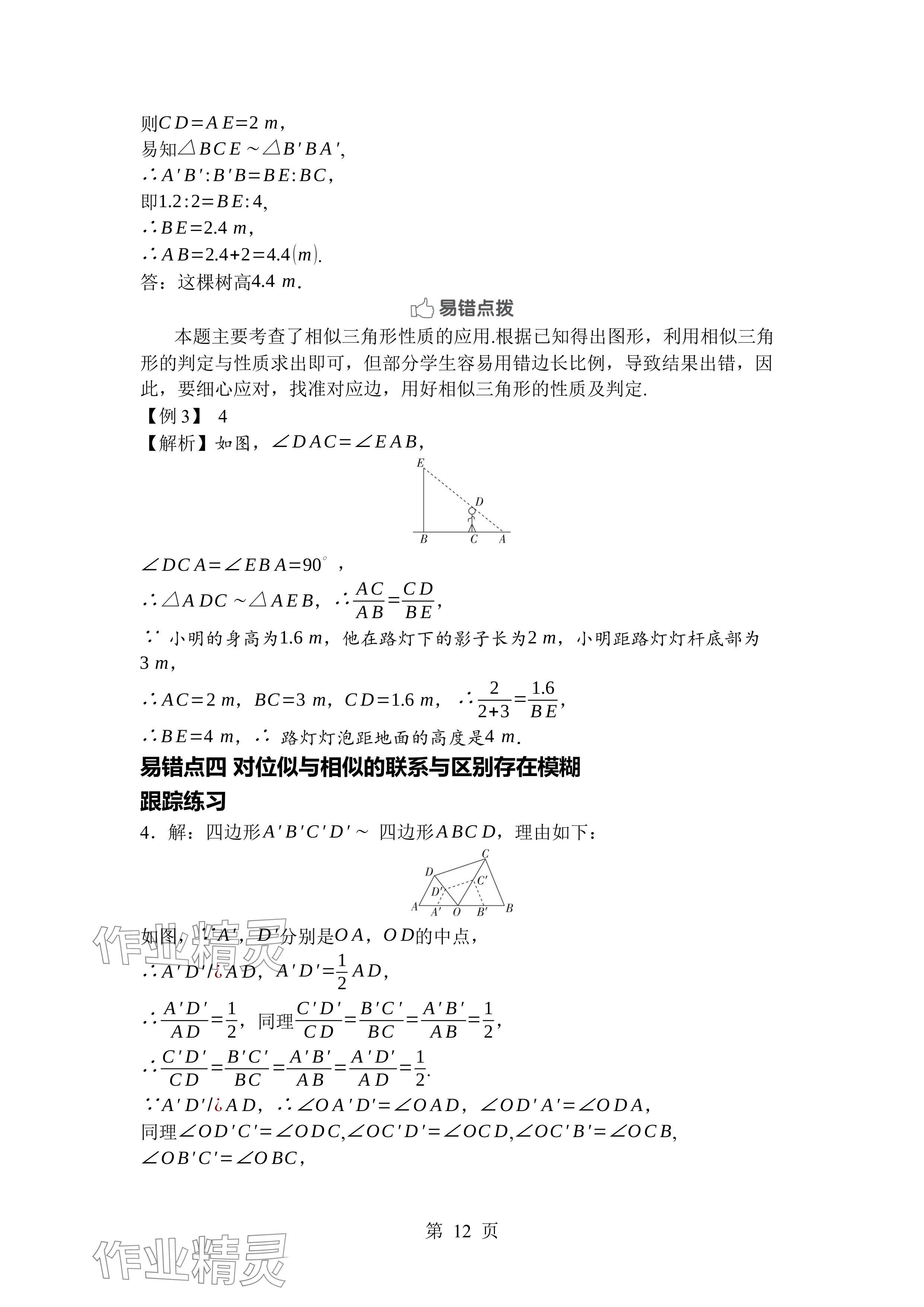 2024年廣東名師講練通九年級數(shù)學(xué)全一冊北師大版深圳專版 參考答案第12頁