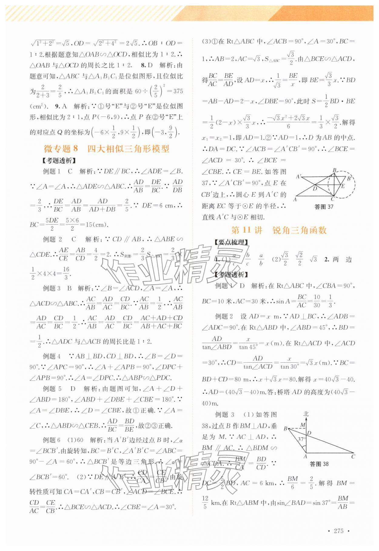 2026年中考指南总复习数学&nbsp;参考答案第17页