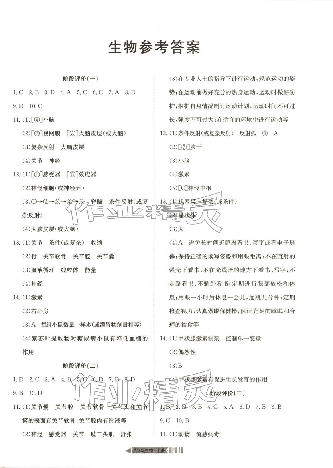2025年全優標準卷八年級生物上冊人教版&nbsp;第1頁