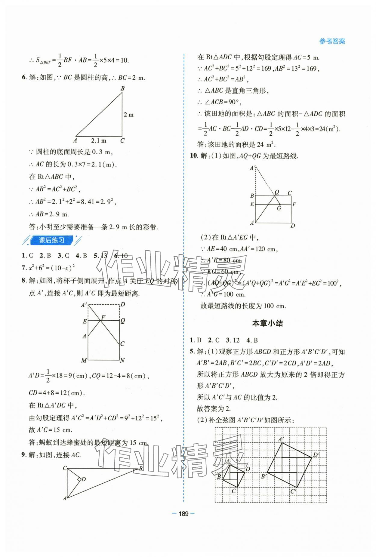 2025年新课堂学习与探究八年级数学上册北师大版&nbsp;参考答案第5页
