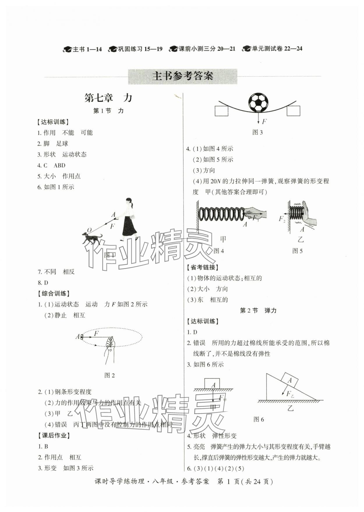 2024年課時(shí)導(dǎo)學(xué)練八年級(jí)物理下冊(cè)人教版廣州專版 第1頁(yè)