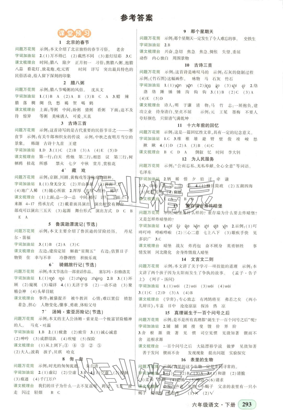2025年黃岡狀元成才路狀元大課堂六年級語文下冊人教版安徽專版 第1頁