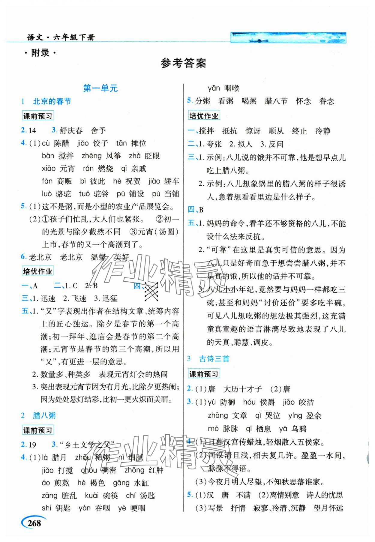 2025年新世紀(jì)英才引探練創(chuàng)英才教程六年級(jí)語(yǔ)文下冊(cè)人教版 參考答案第1頁(yè)