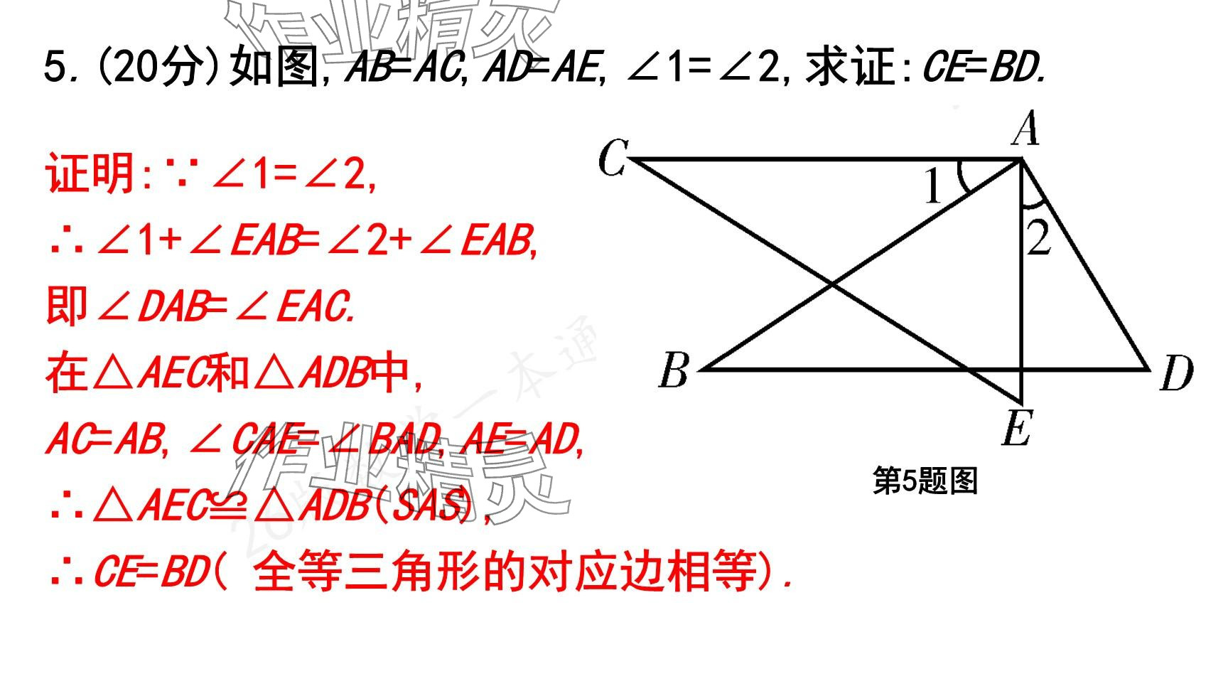 2025年一本通武漢出版社七年級數(shù)學(xué)下冊北師大版核心版 參考答案第143頁