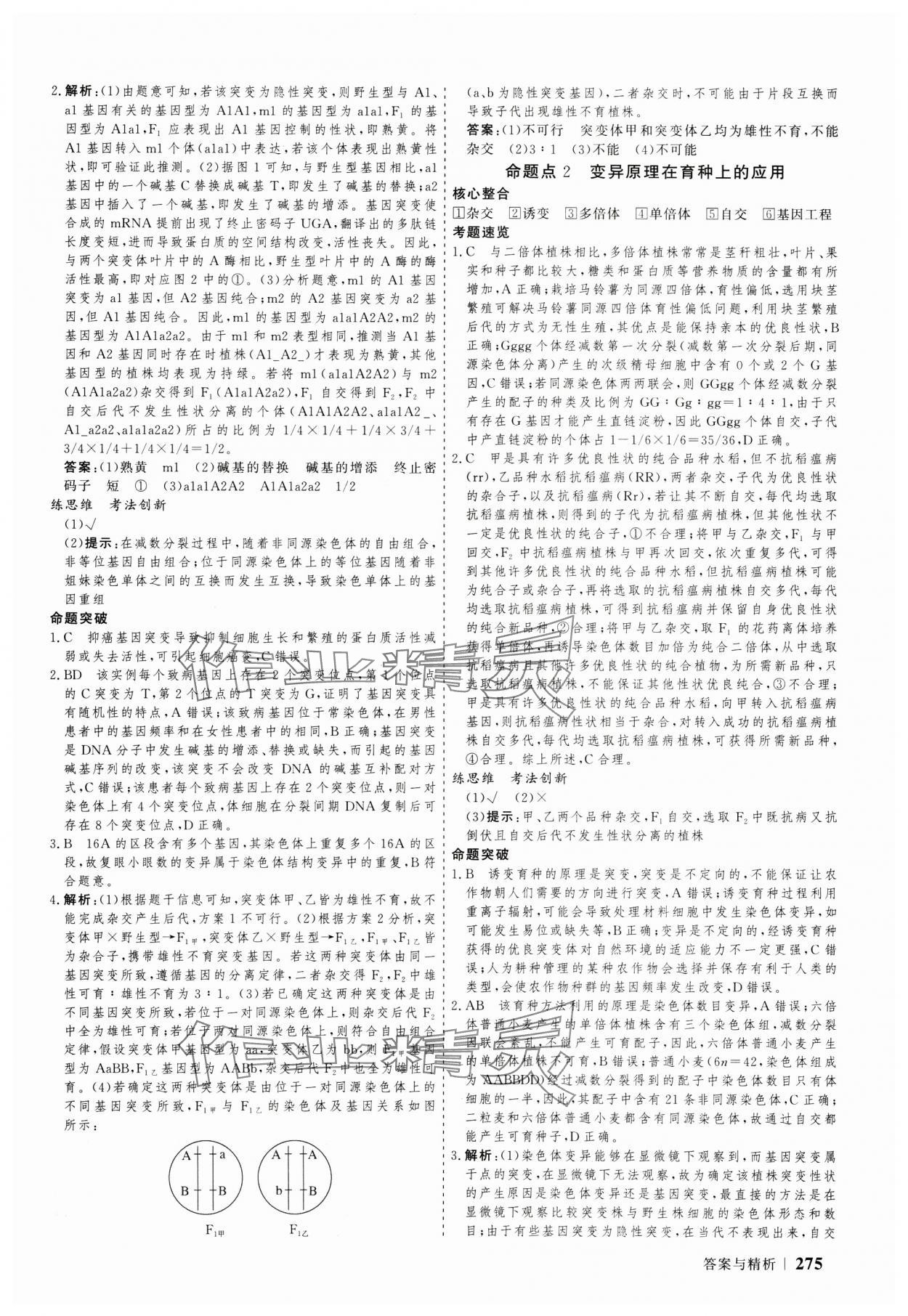 2025年高考領(lǐng)航生物大二輪專題復(fù)習(xí)與測試 參考答案第14頁