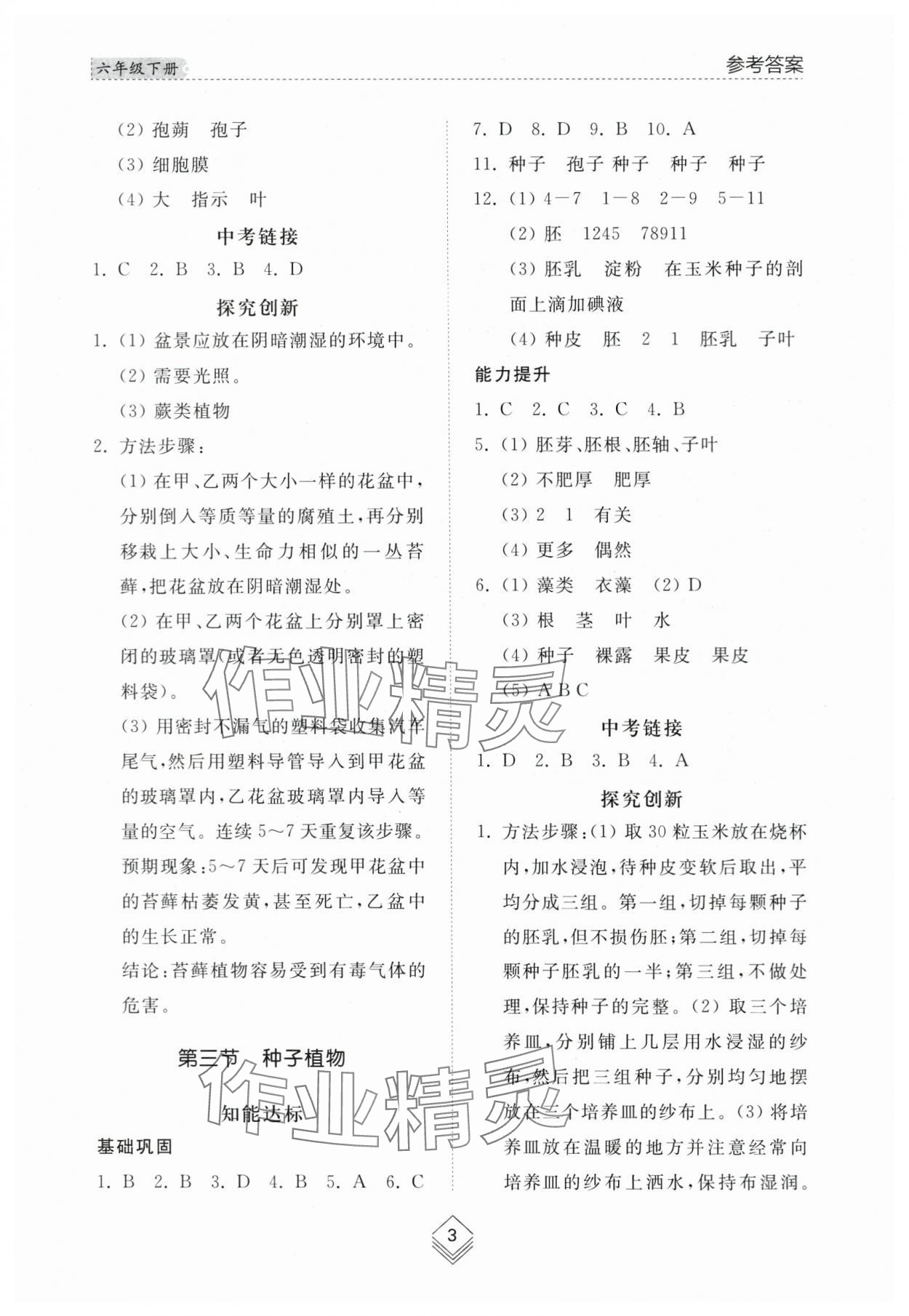 2024年綜合能力訓練六年級生物下冊魯科版54制 參考答案第2頁