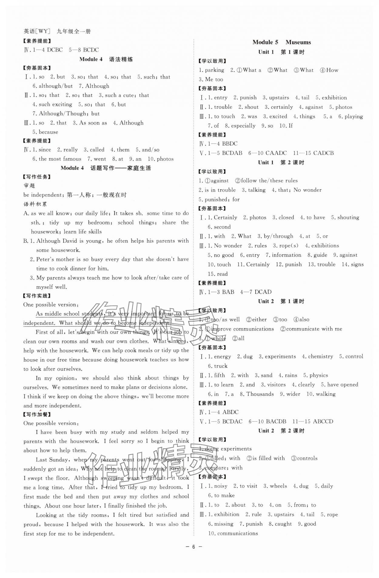 2025年全效學(xué)習(xí)九年級(jí)英語全一冊(cè)外研版 參考答案第5頁