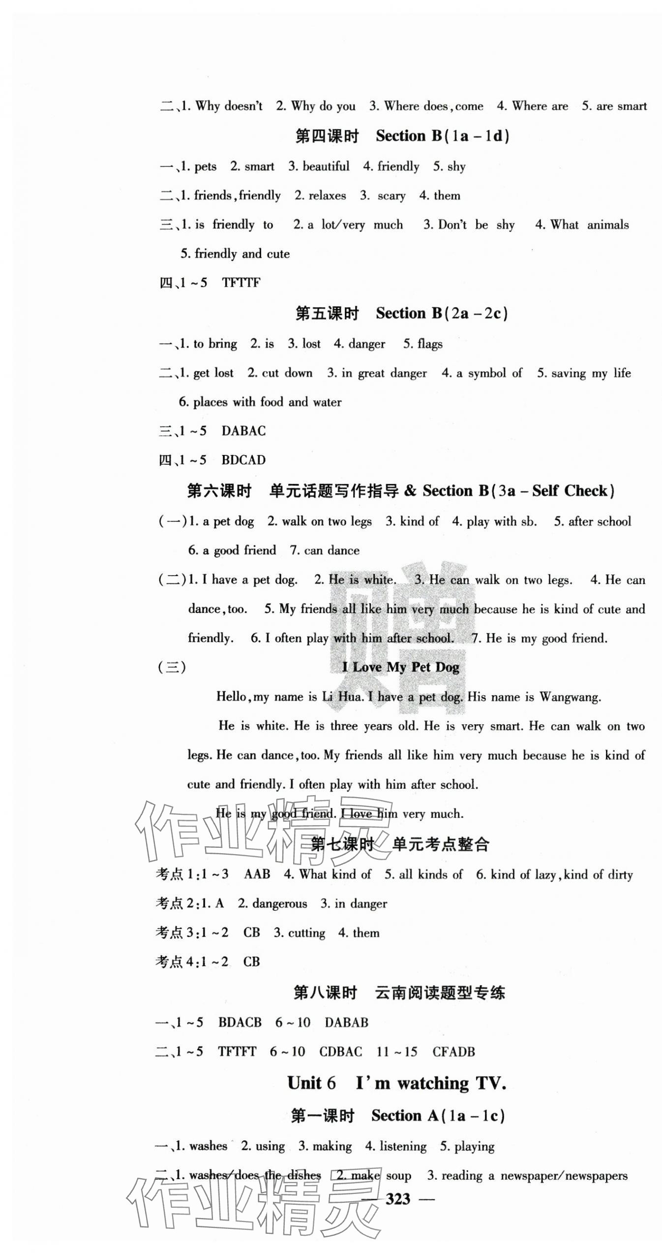 2024年名校课堂内外七年级英语下册人教版云南专版 第7页