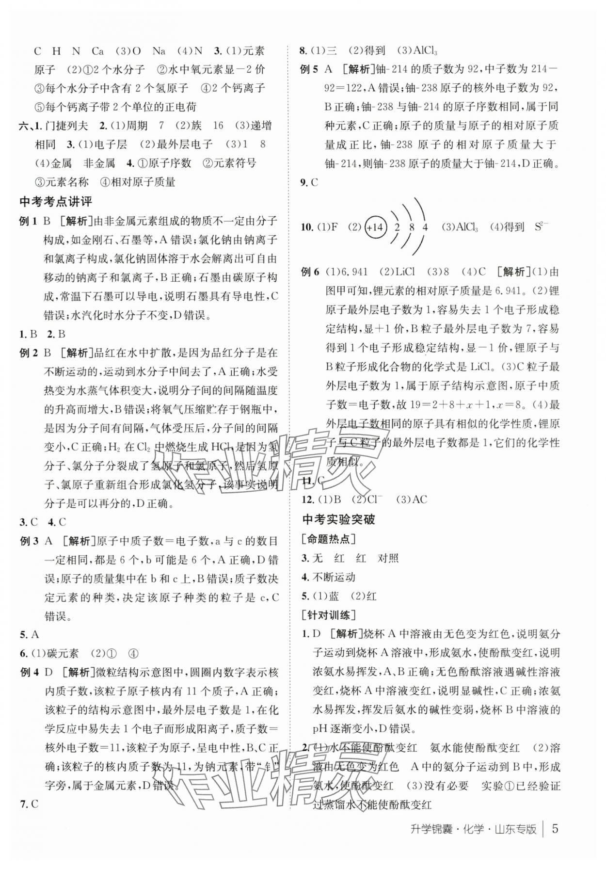 2024年升學(xué)錦囊化學(xué)山東專版 第5頁
