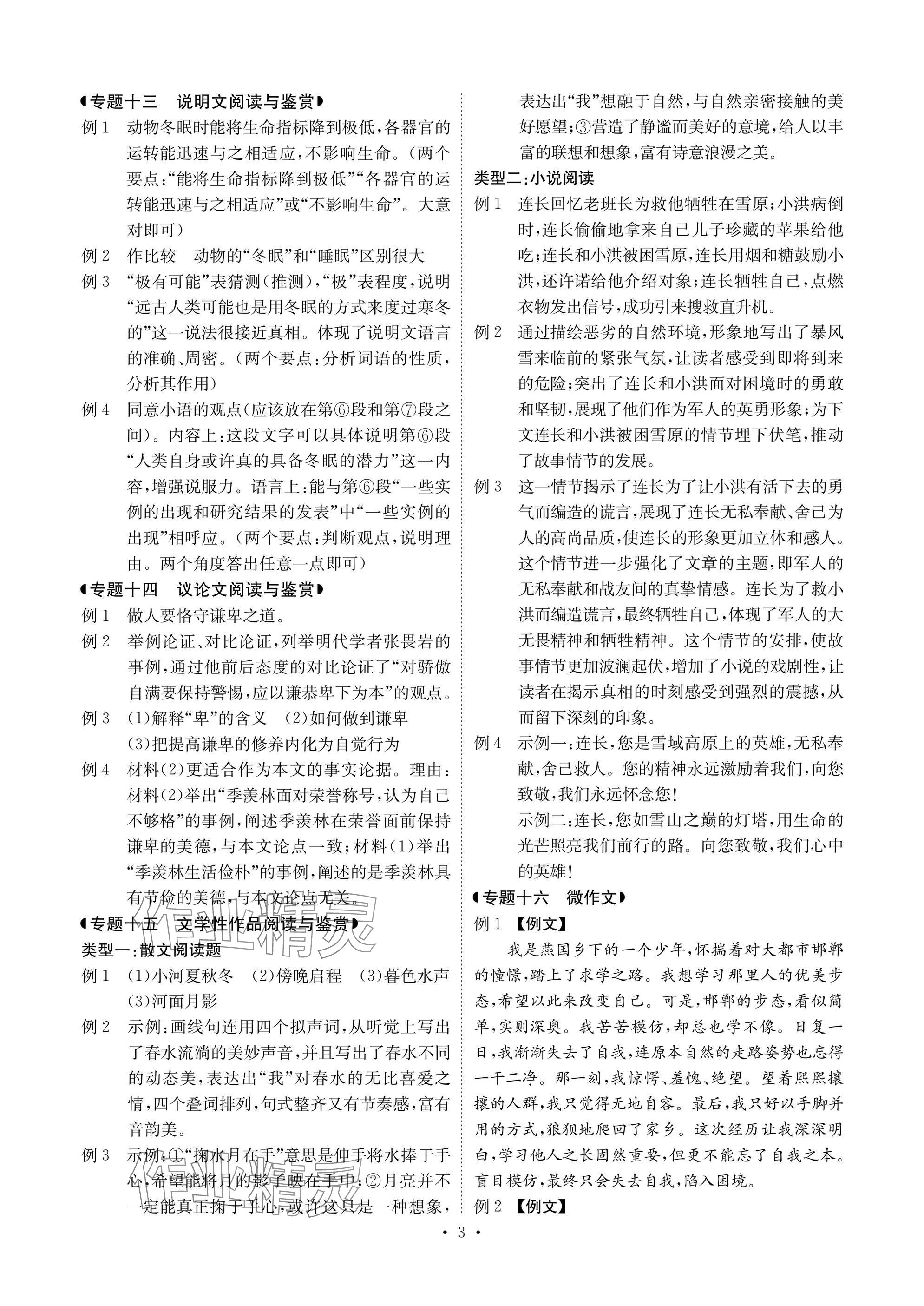2025年新中考優化方案語文 參考答案第3頁