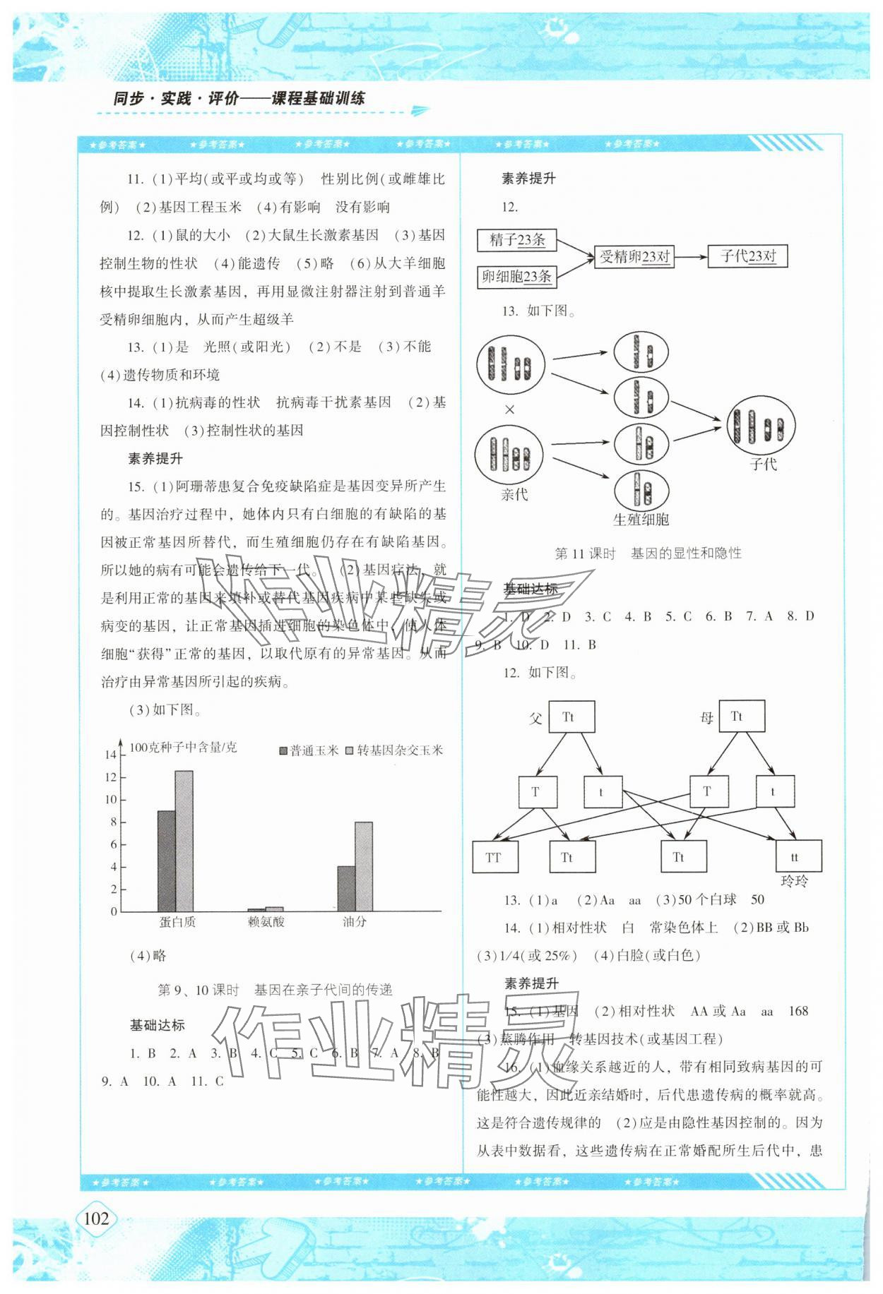 2025年同步實踐評價課程基礎訓練湖南少年兒童出版社八年級生物下冊人教版 第2頁