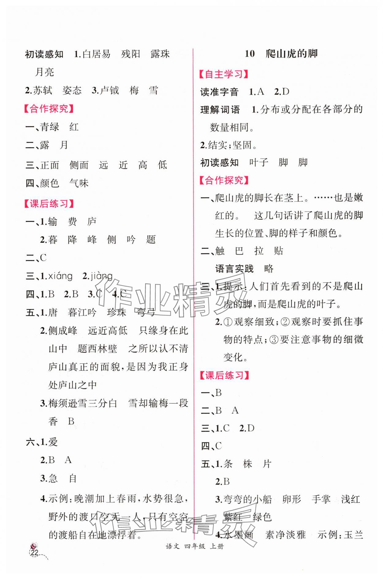 2024年同步導(dǎo)學(xué)案課時(shí)練四年級(jí)語文上冊(cè)人教版 第6頁(yè)