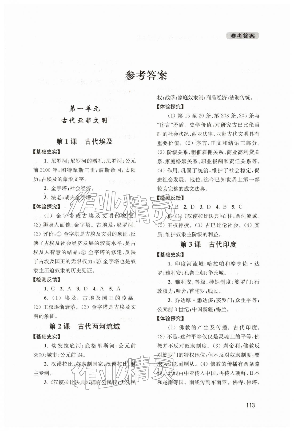 2025年新课程实践与探究丛书九年级历史上册人教版江苏专版 第1页