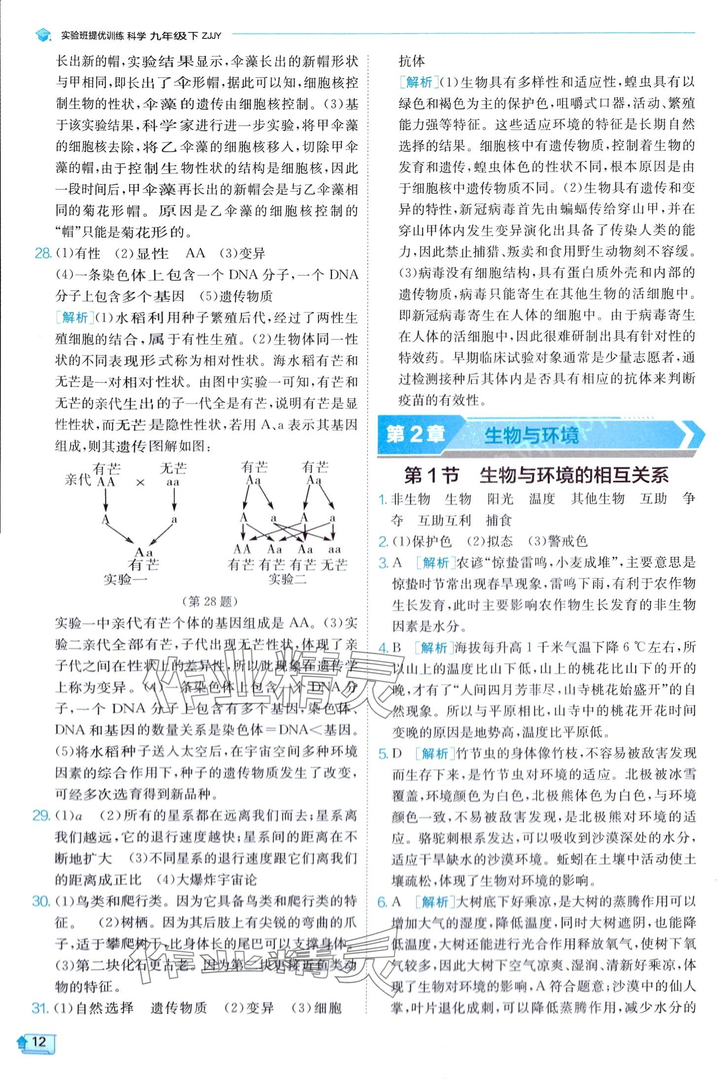 2024年實驗班提優(yōu)訓(xùn)練九年級科學(xué)下冊浙教版 第12頁