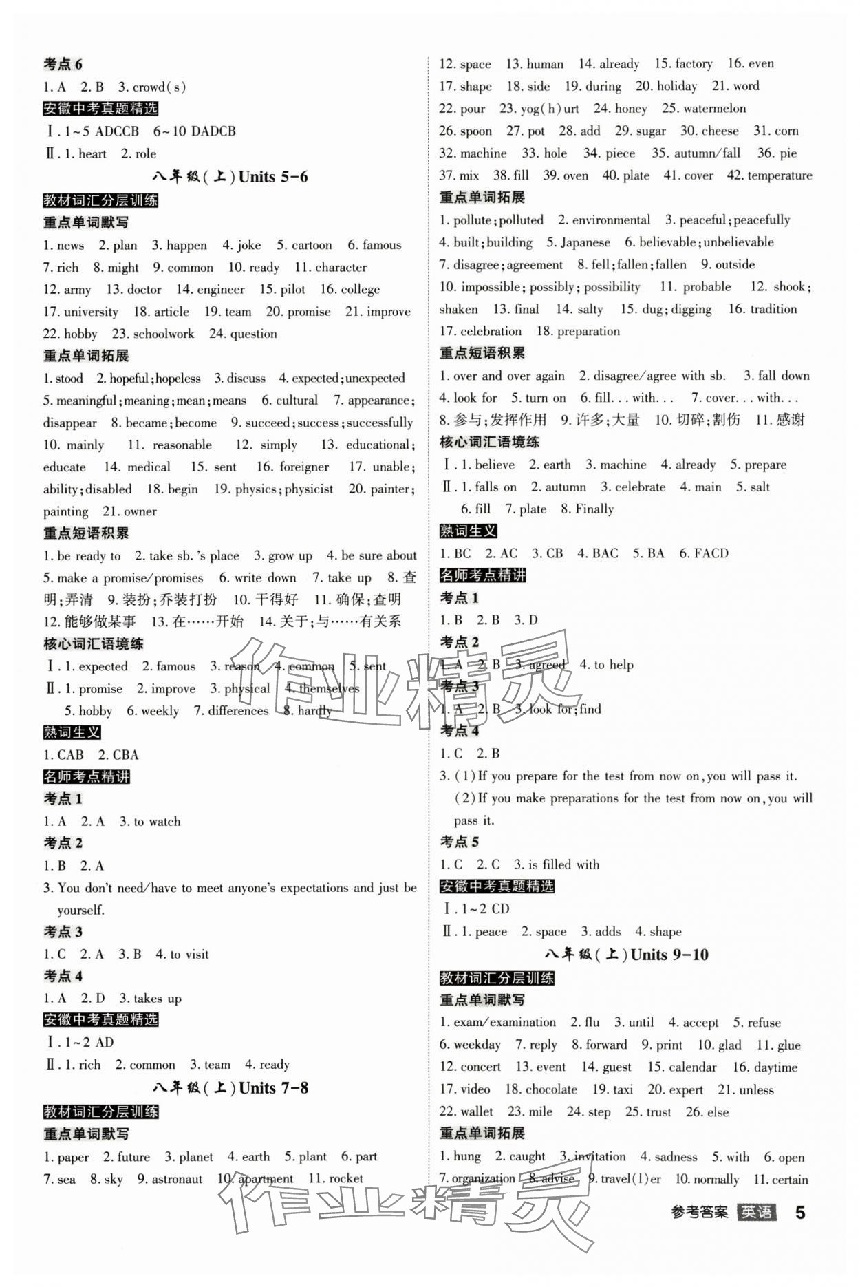 2025年中考總復(fù)習(xí)名師A計(jì)劃英語中考 參考答案第5頁