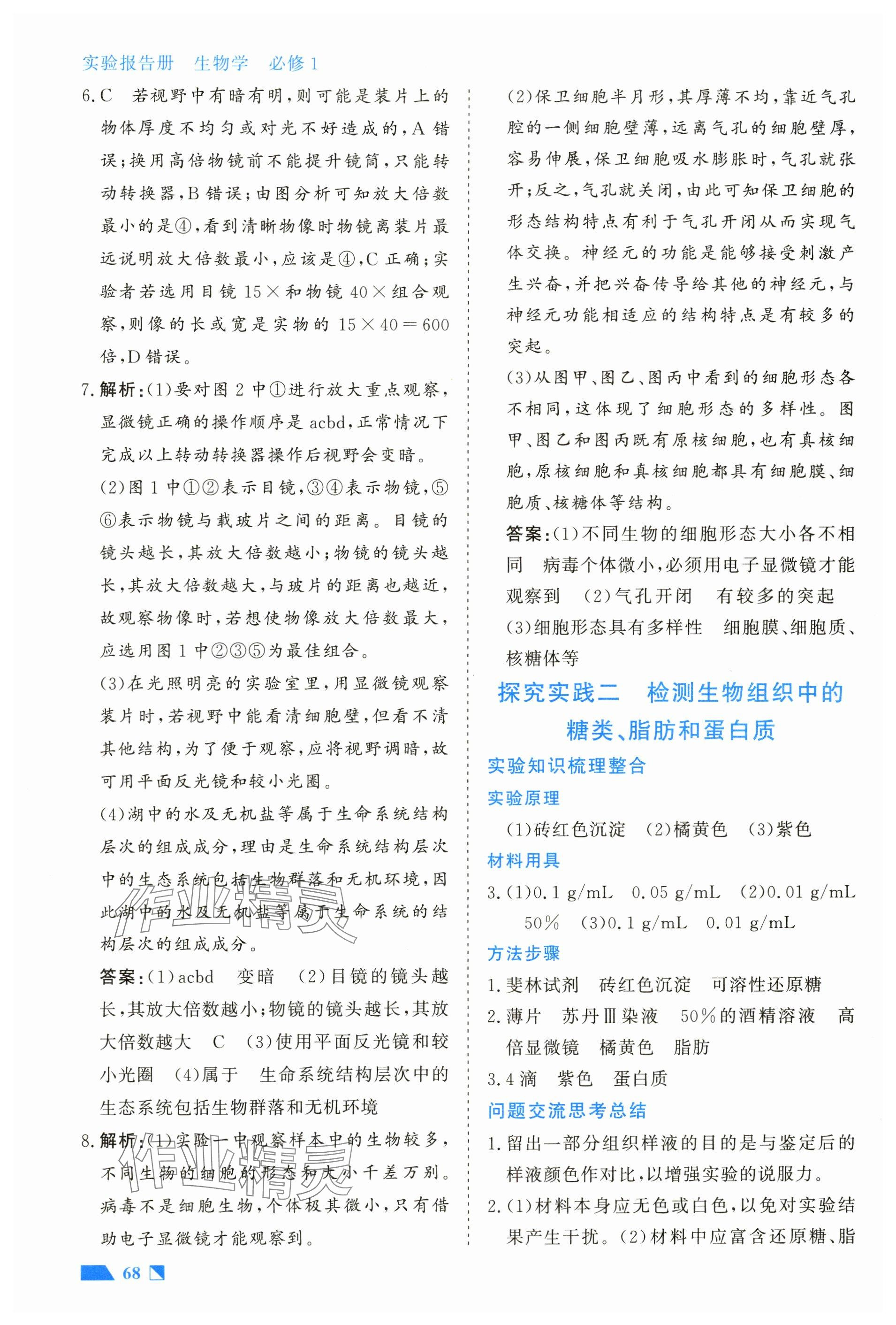 2024年實驗報告高中生物必修1人教版 參考答案第2頁