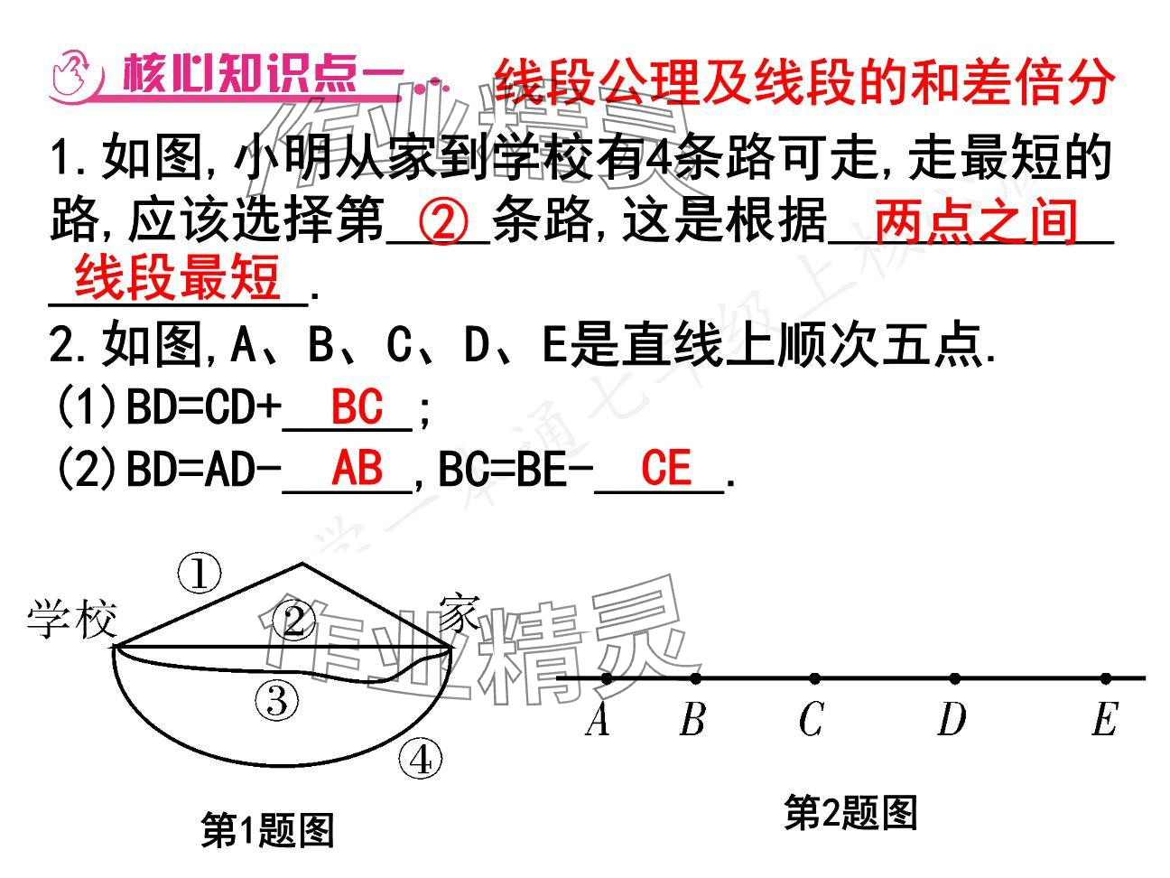 2024年一本通武漢出版社七年級(jí)數(shù)學(xué)上冊(cè)北師大版核心板 參考答案第16頁(yè)