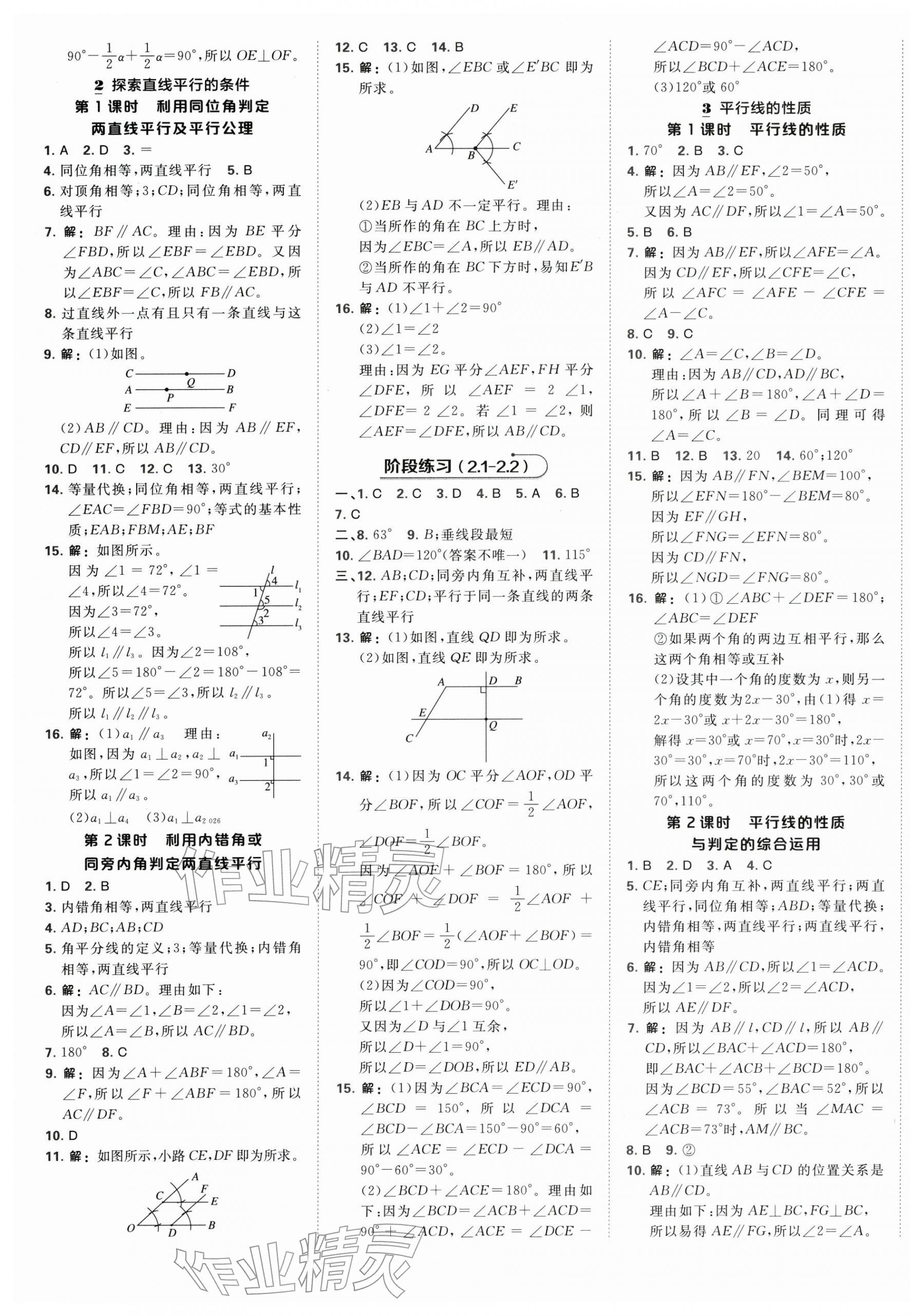 2026年点拨训练七年级数学下册北师大版&nbsp;第5页
