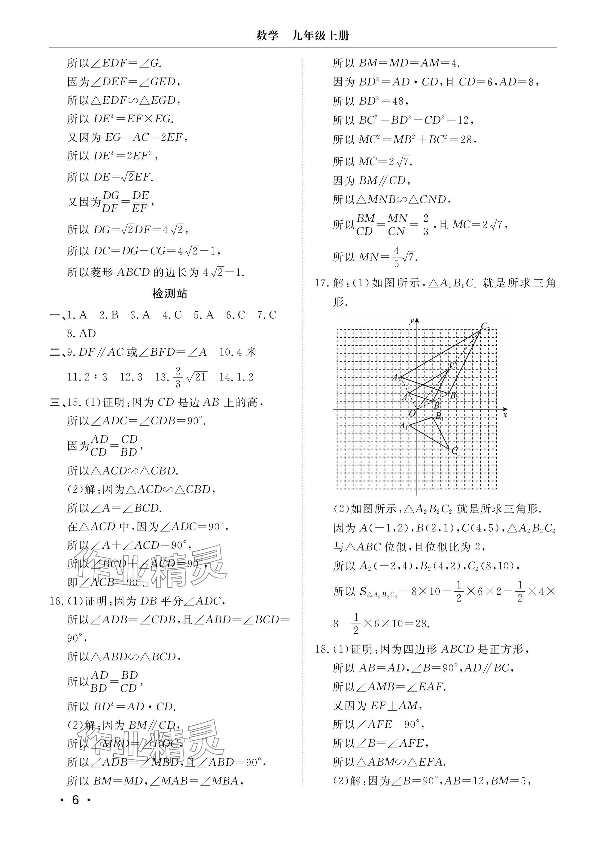 2024年行知天下九年級數(shù)學上冊青島版 參考答案第6頁