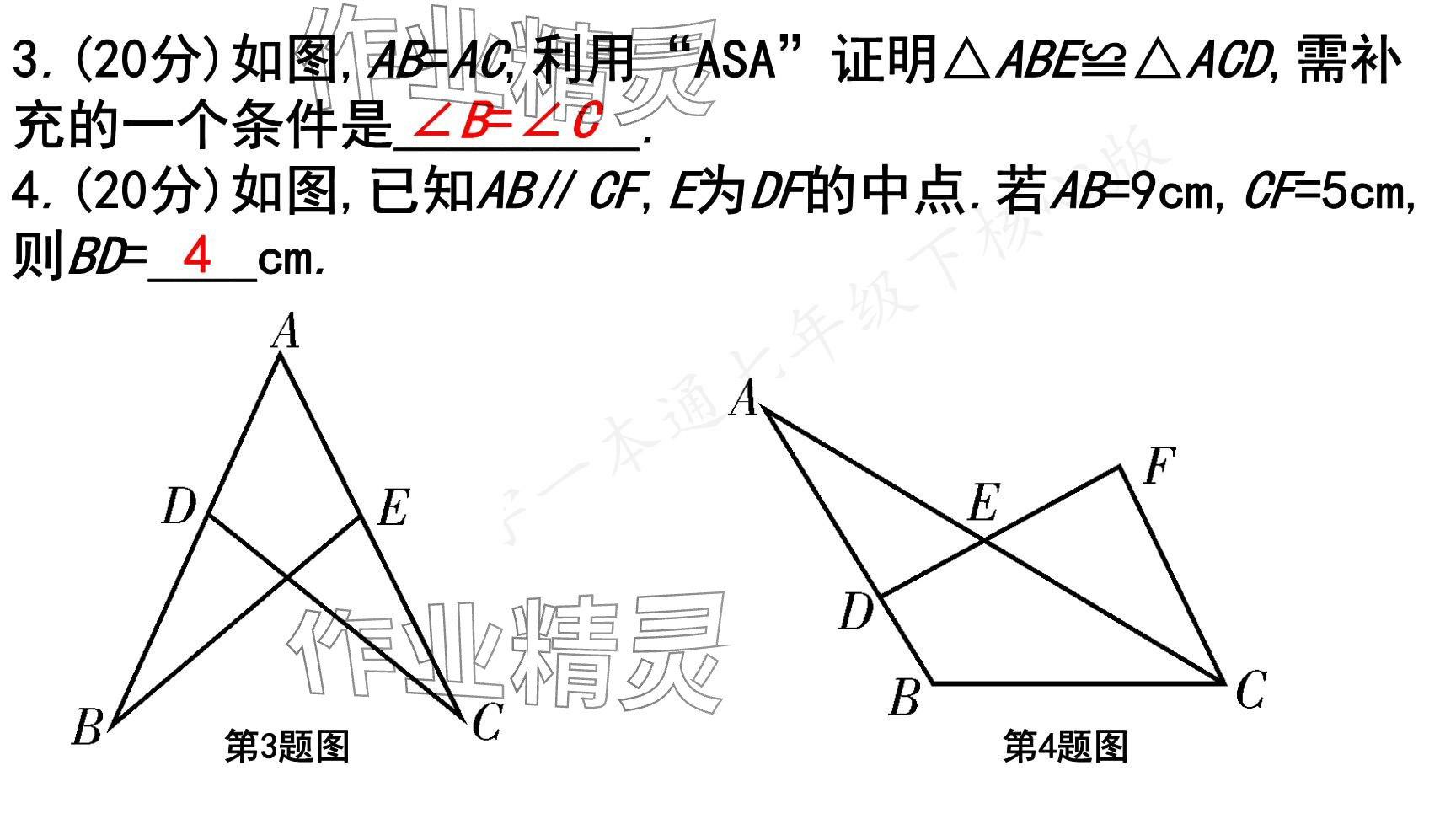 2025年一本通武漢出版社七年級(jí)數(shù)學(xué)下冊(cè)北師大版核心版 參考答案第136頁