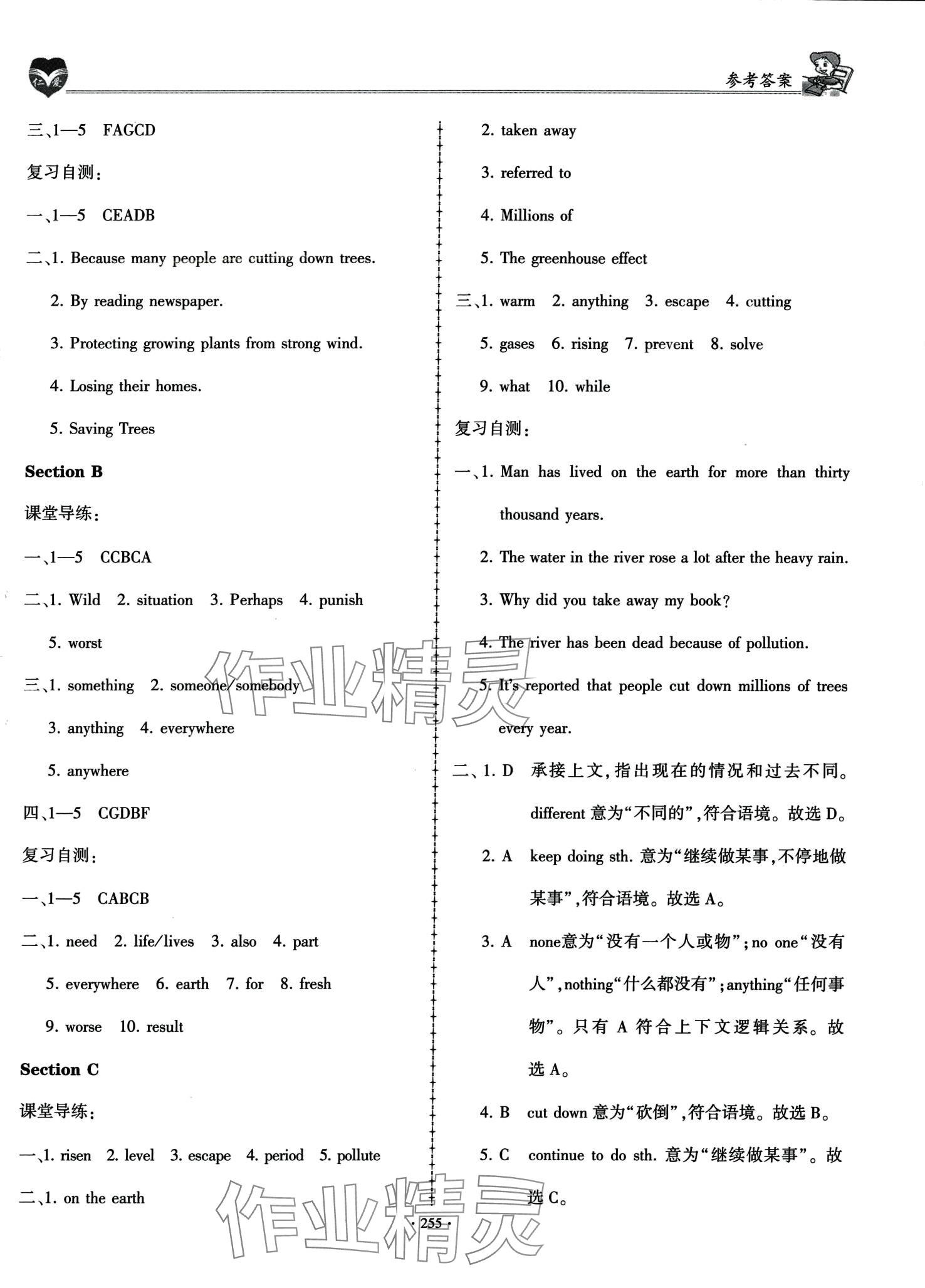 2024年仁爱英语同步学案九年级全一册仁爱版 第29页