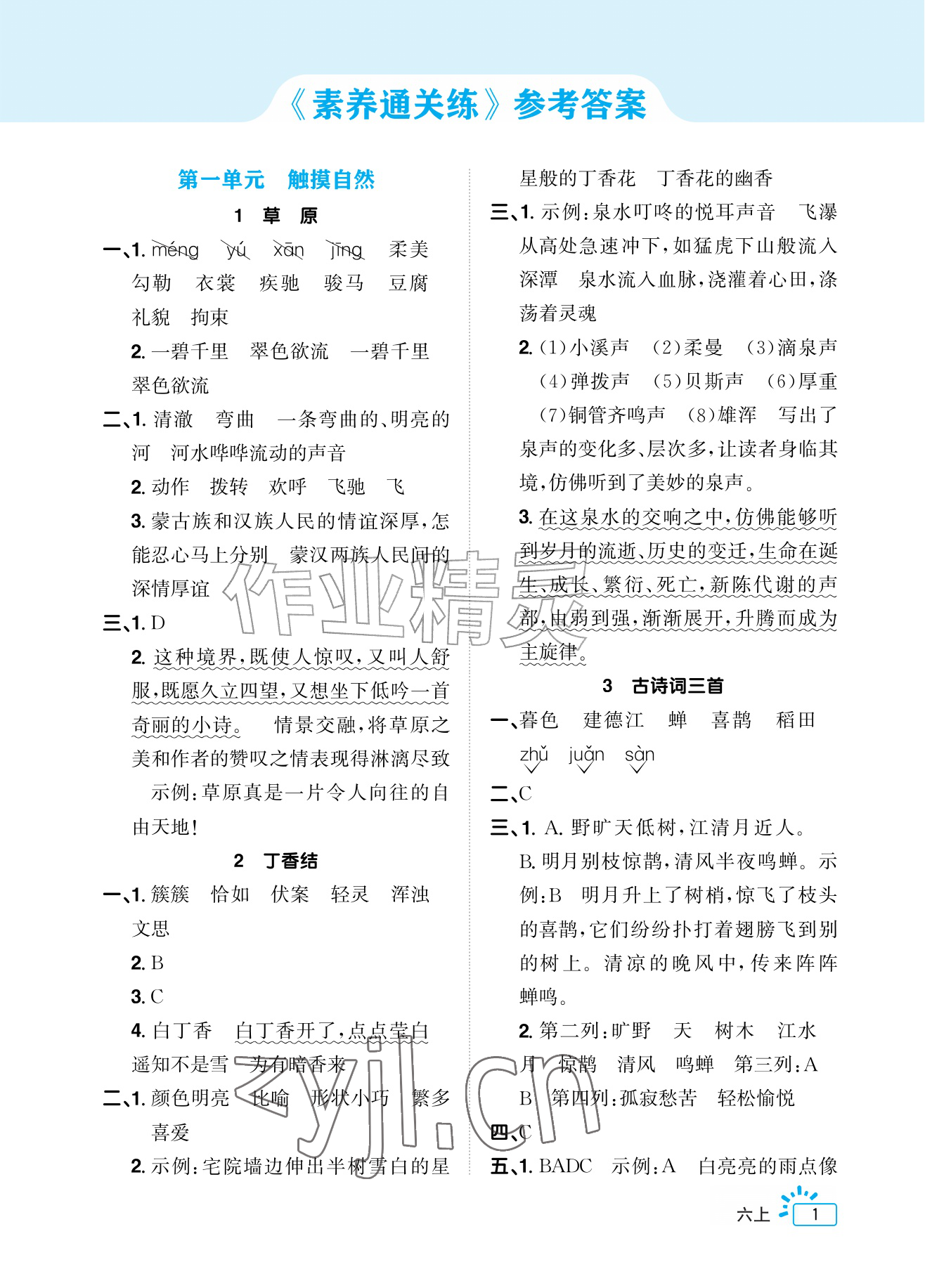 2026年阳光同学素养通关练六年级语文上册人教版&nbsp;参考答案第1页