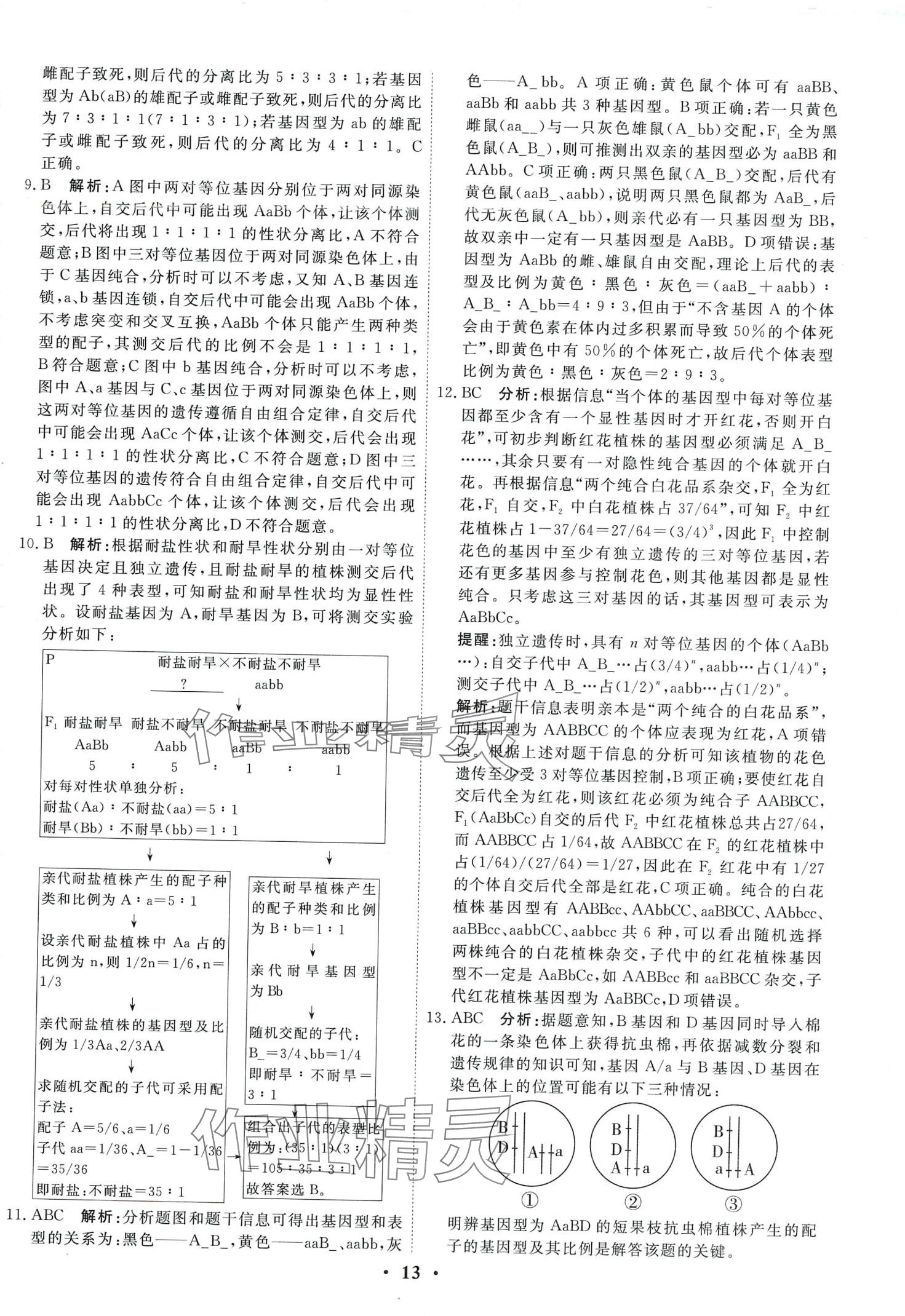 2024年衡水金卷高中生物通用版 第15頁