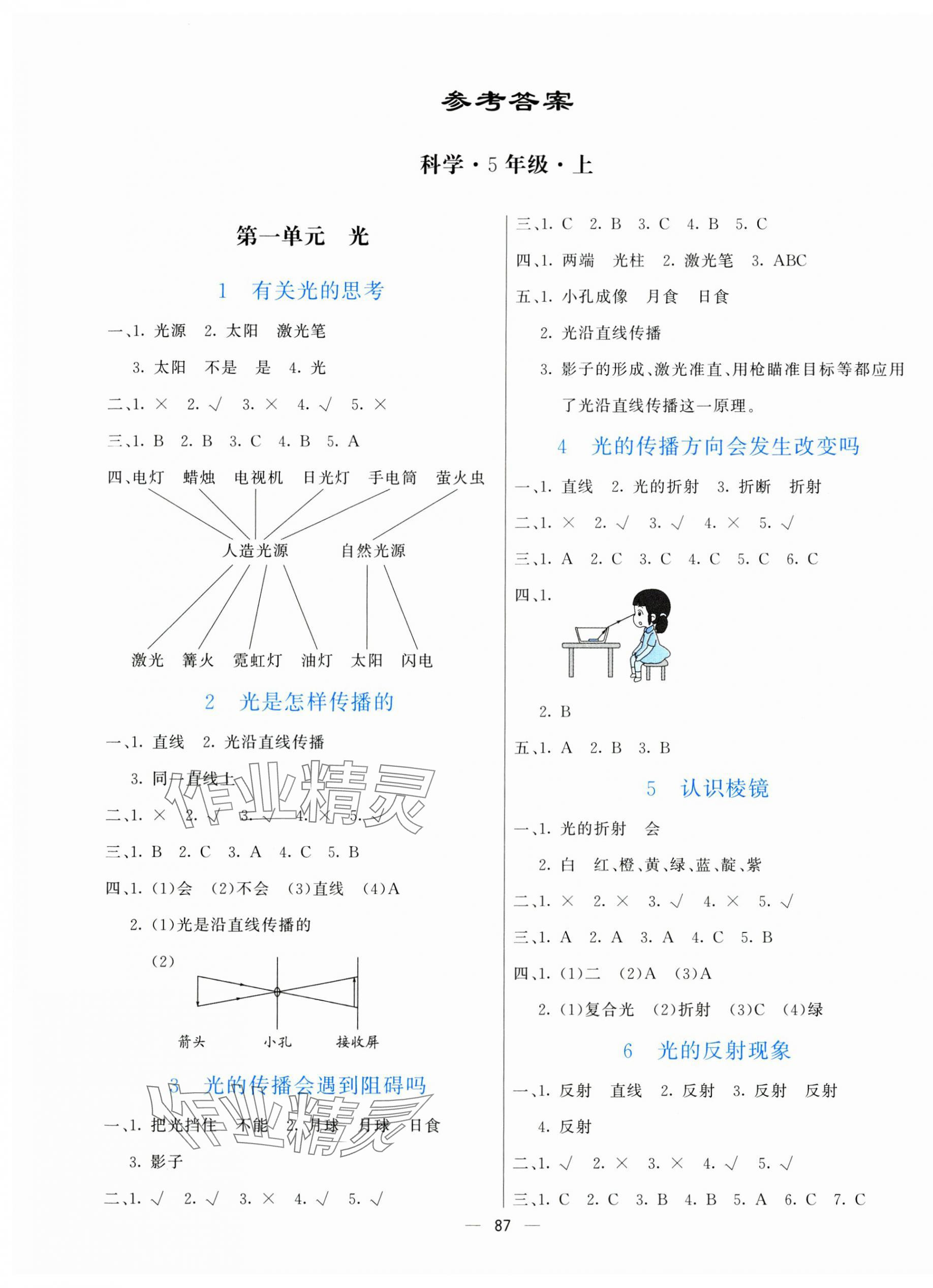 2024年亮點(diǎn)激活提優(yōu)天天練五年級(jí)科學(xué)上冊(cè)教科版 第1頁(yè)