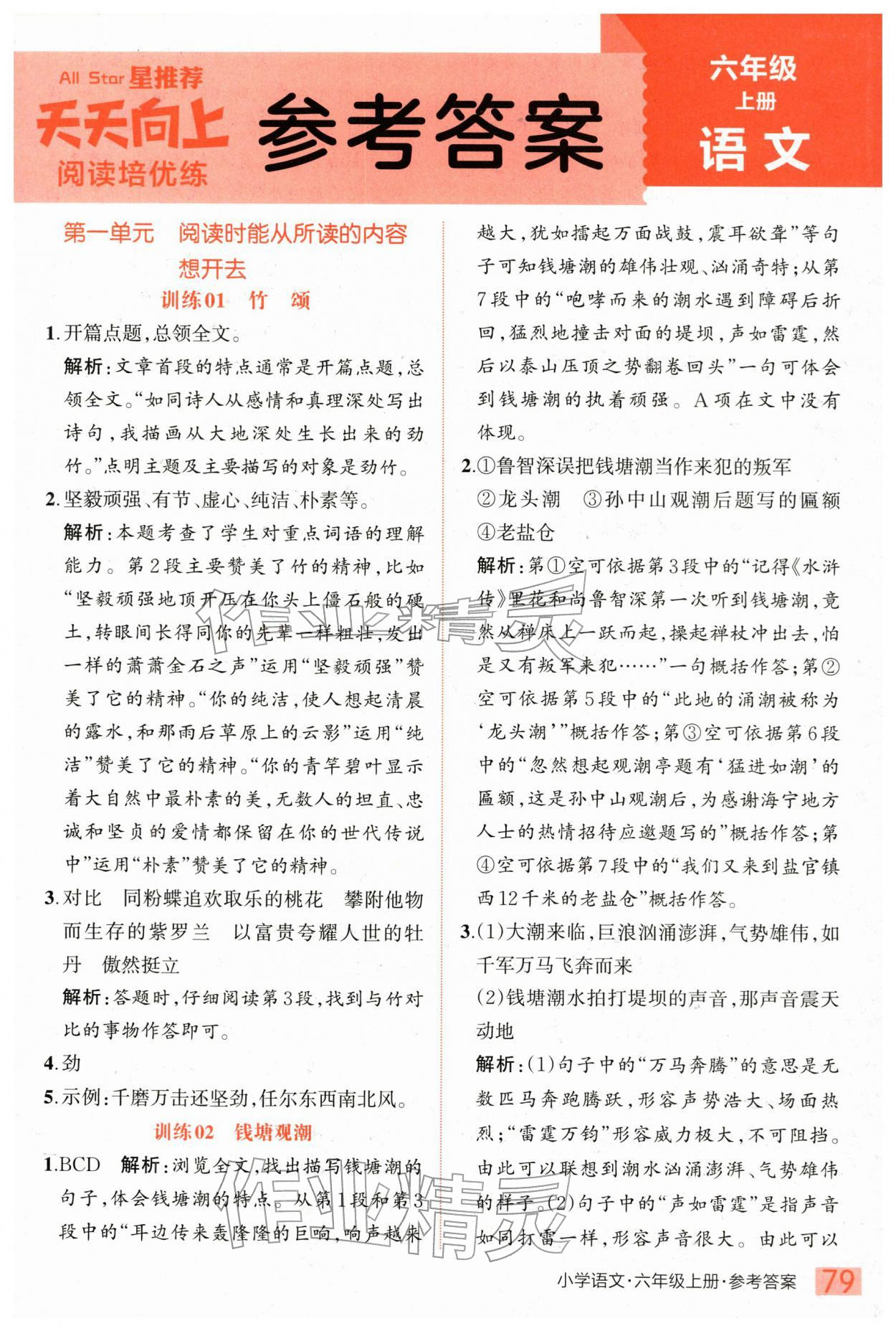 2025年天天向上阅读培优练六年级语文上册人教版 第1页