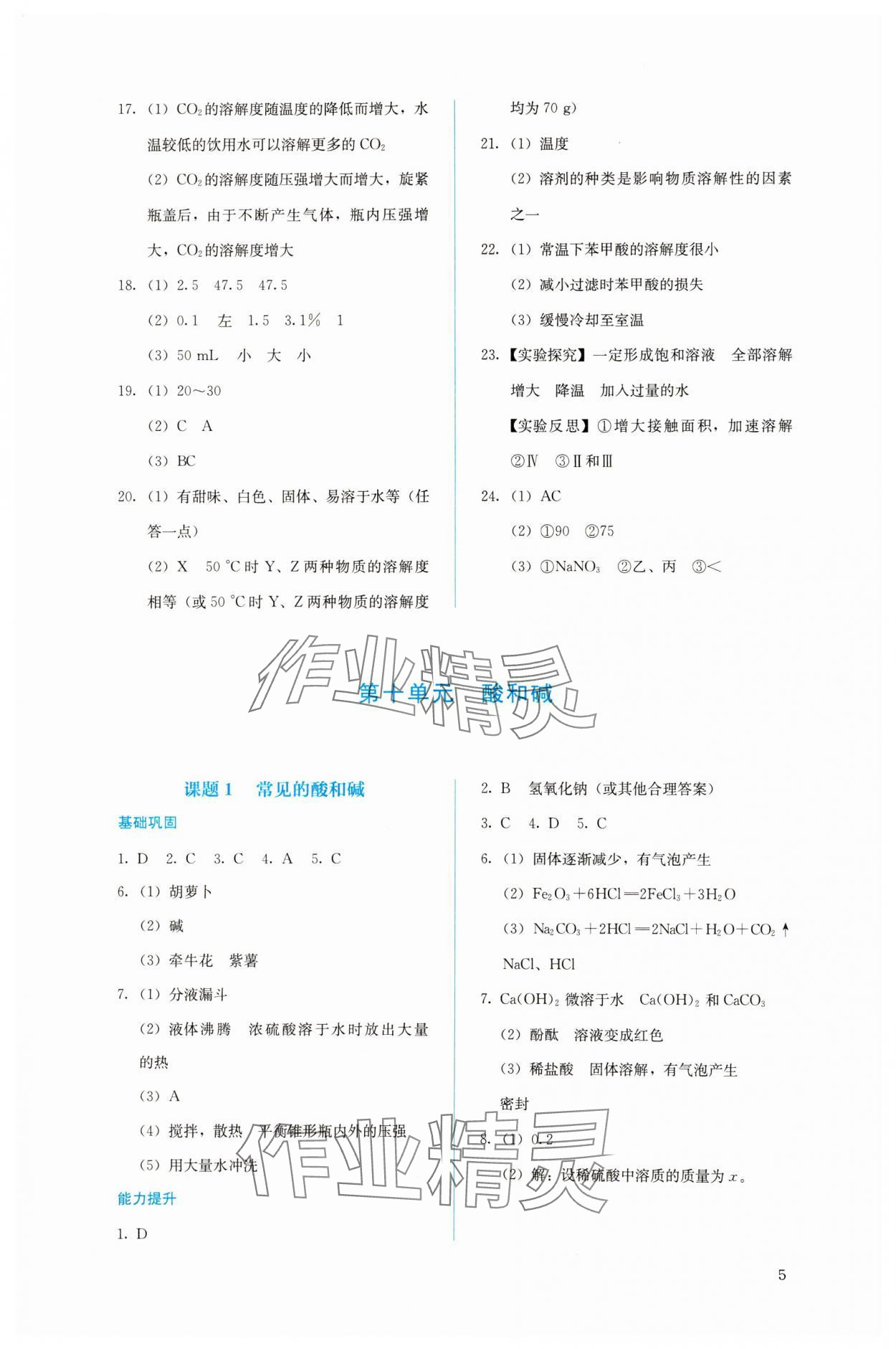 2024年人教金学典同步解析与测评九年级化学下册人教版 第5页