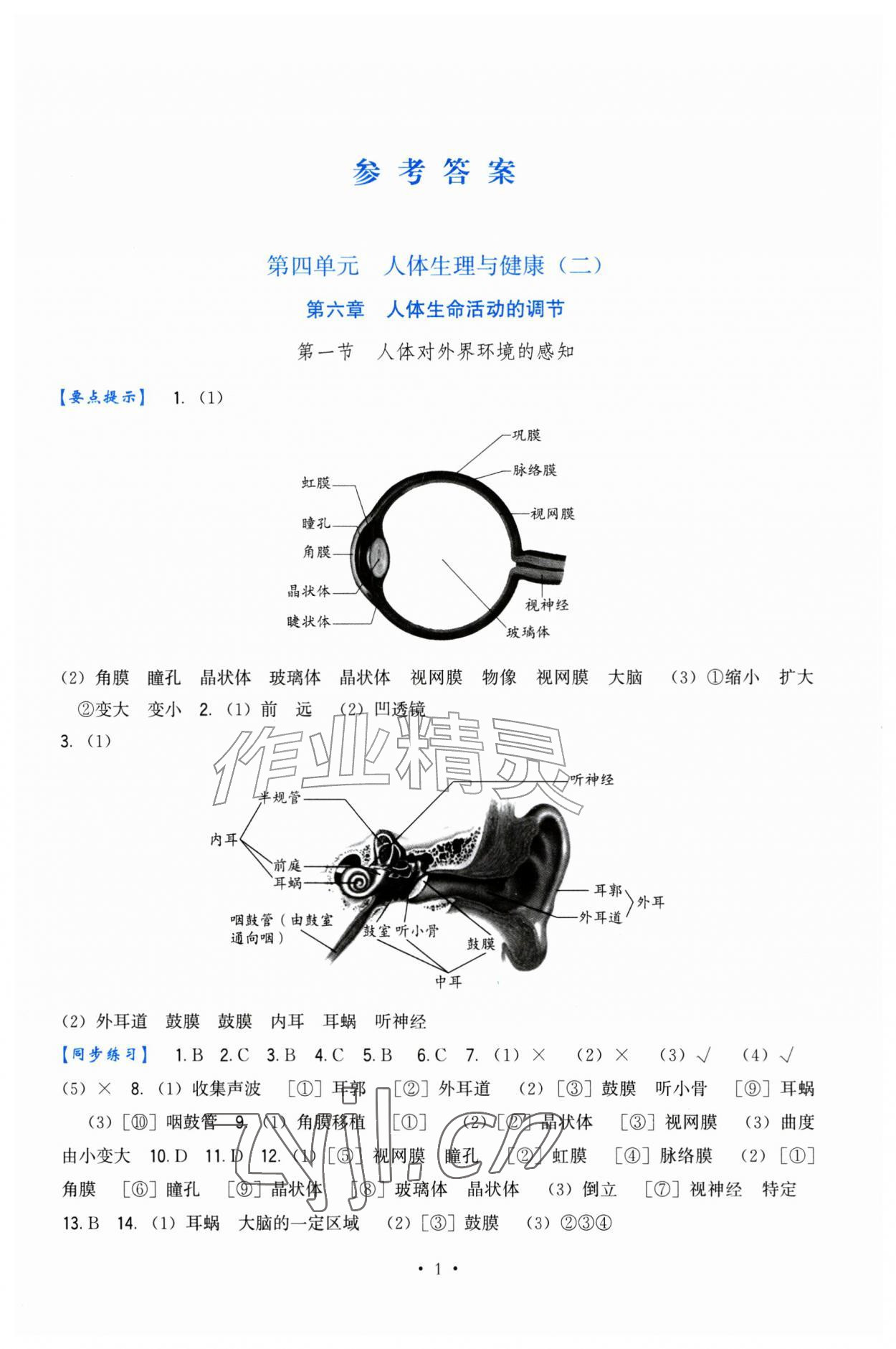 2026年顶尖课课练八年级生物上册人教版&nbsp;第1页