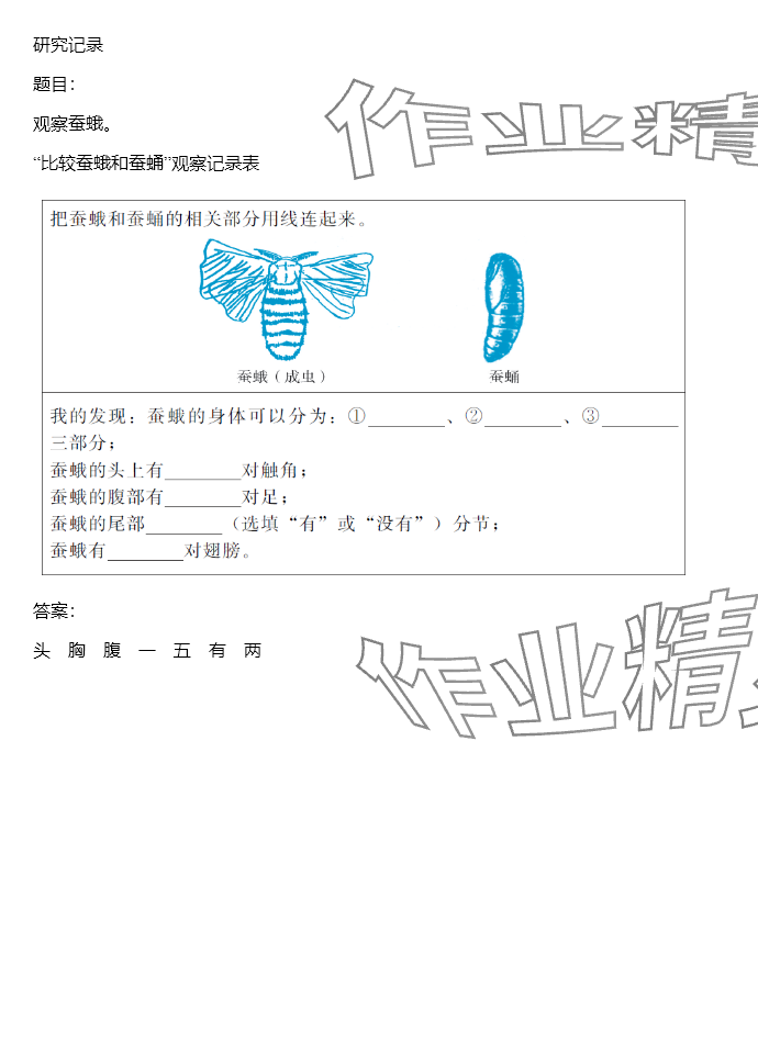 2024年同步實(shí)踐評(píng)價(jià)課程基礎(chǔ)訓(xùn)練三年級(jí)科學(xué)下冊(cè)教科版 參考答案第94頁