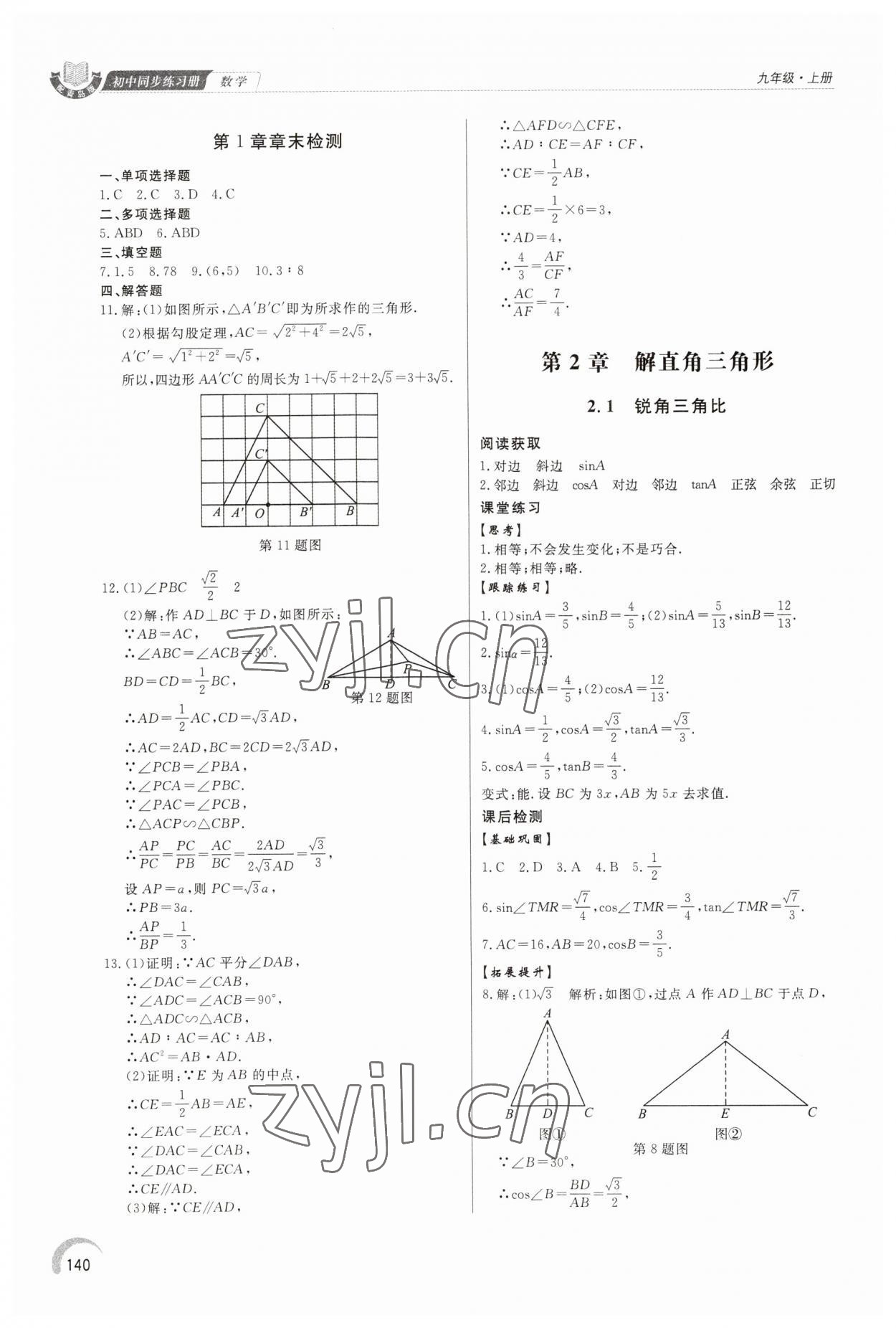 2023年同步練習(xí)冊(cè)泰山出版社九年級(jí)數(shù)學(xué)上冊(cè)青島版 第6頁(yè)