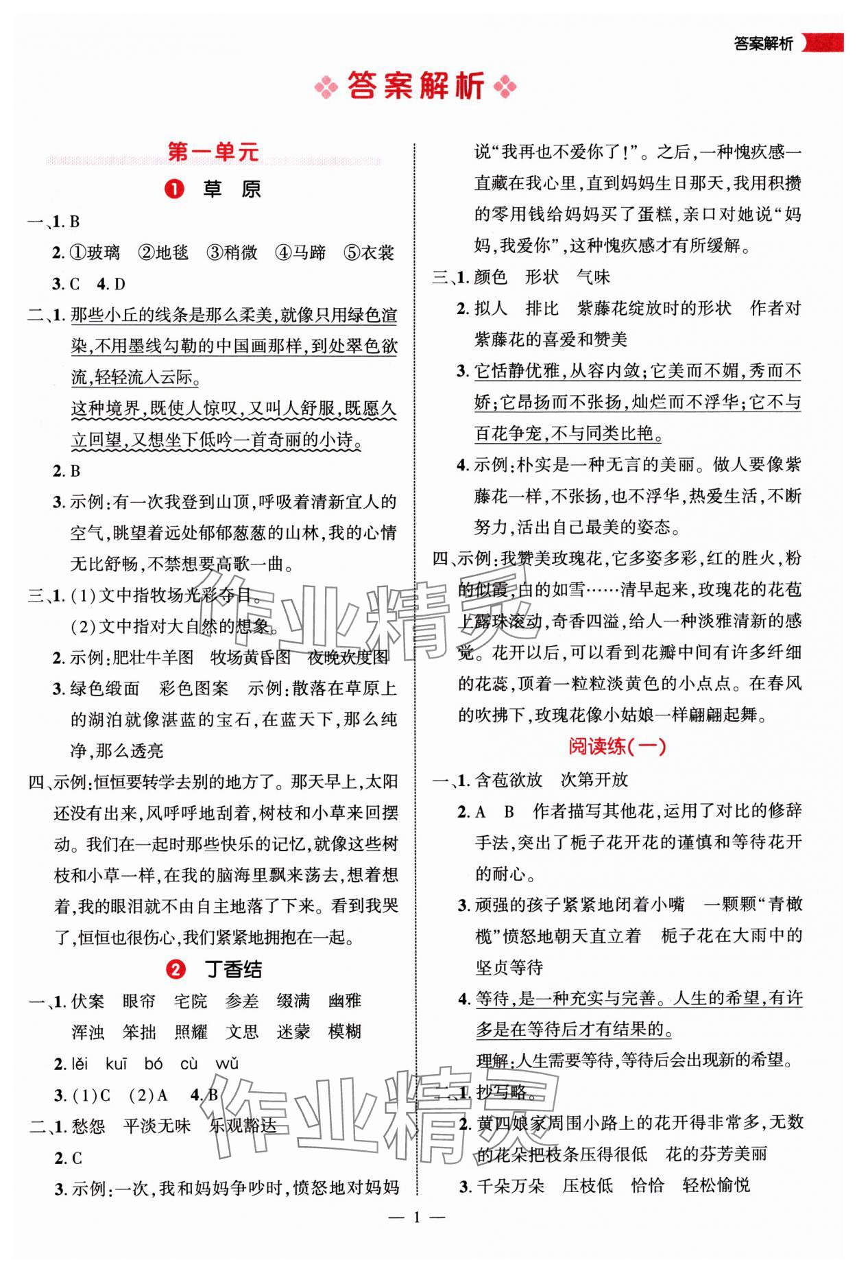2025年细解巧练六年级语文上册人教版 第1页