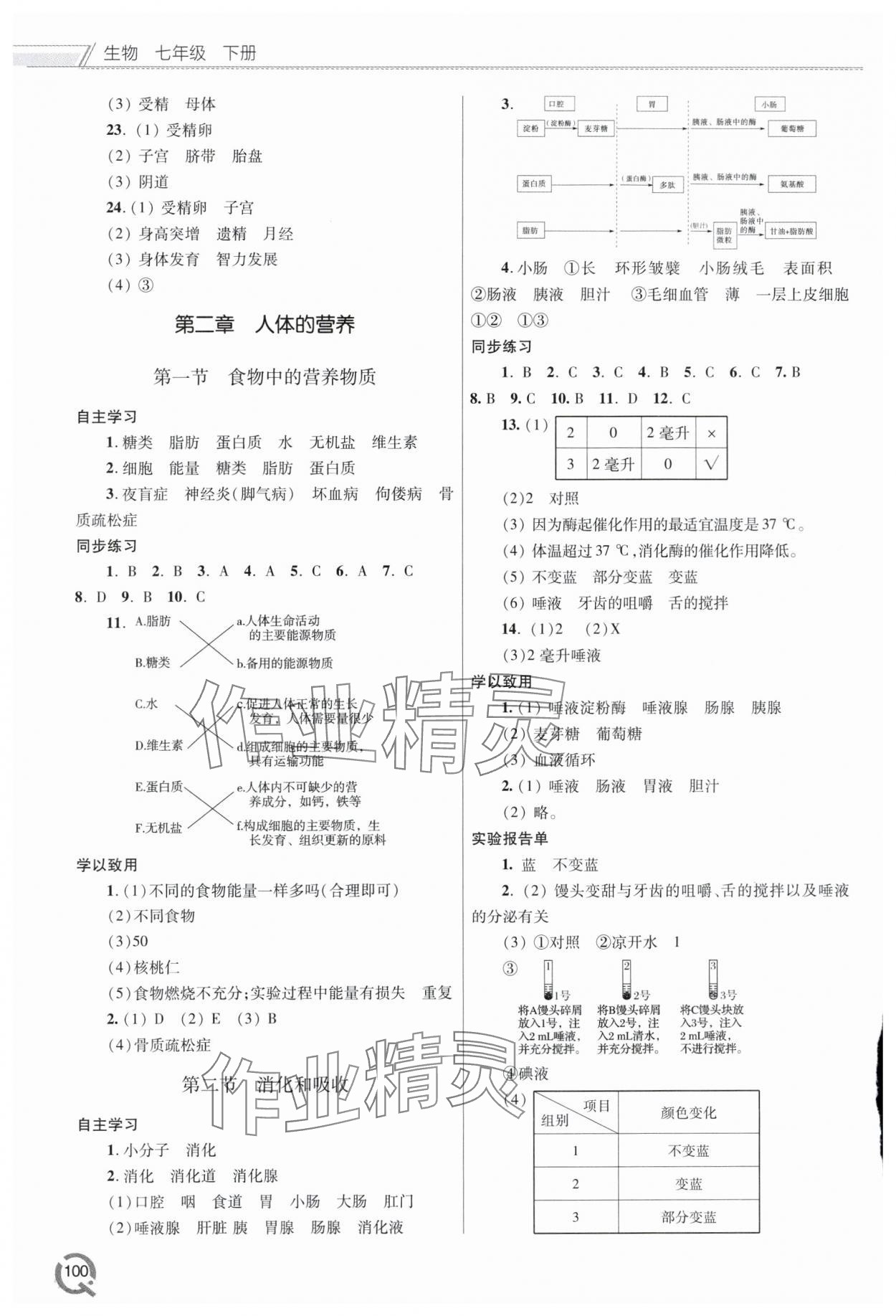 2024年同步練習(xí)冊青島出版社七年級生物下冊人教版 第2頁