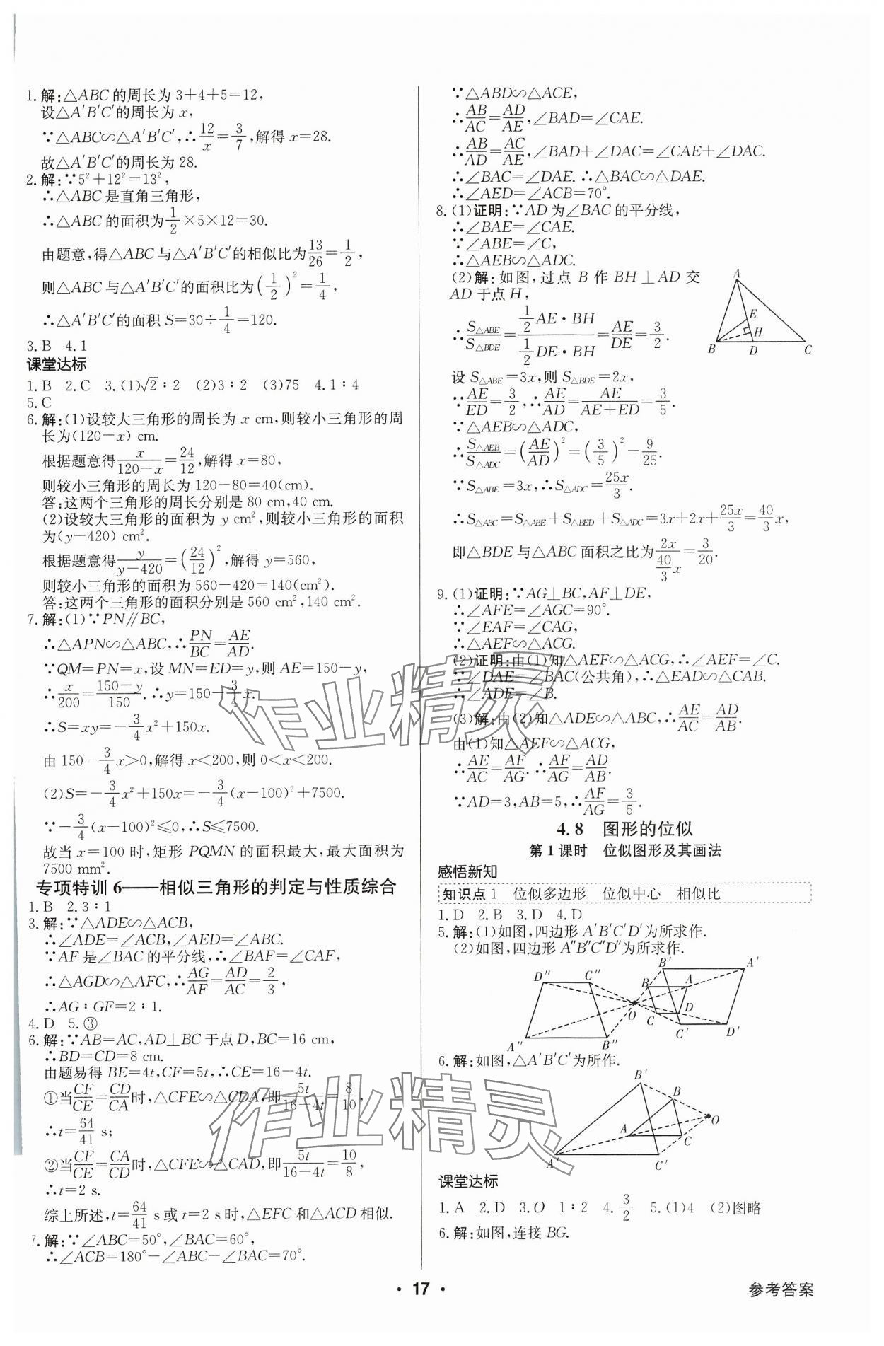 2023年金牌學(xué)典九年級(jí)數(shù)學(xué)全一冊(cè)北師大版 參考答案第17頁
