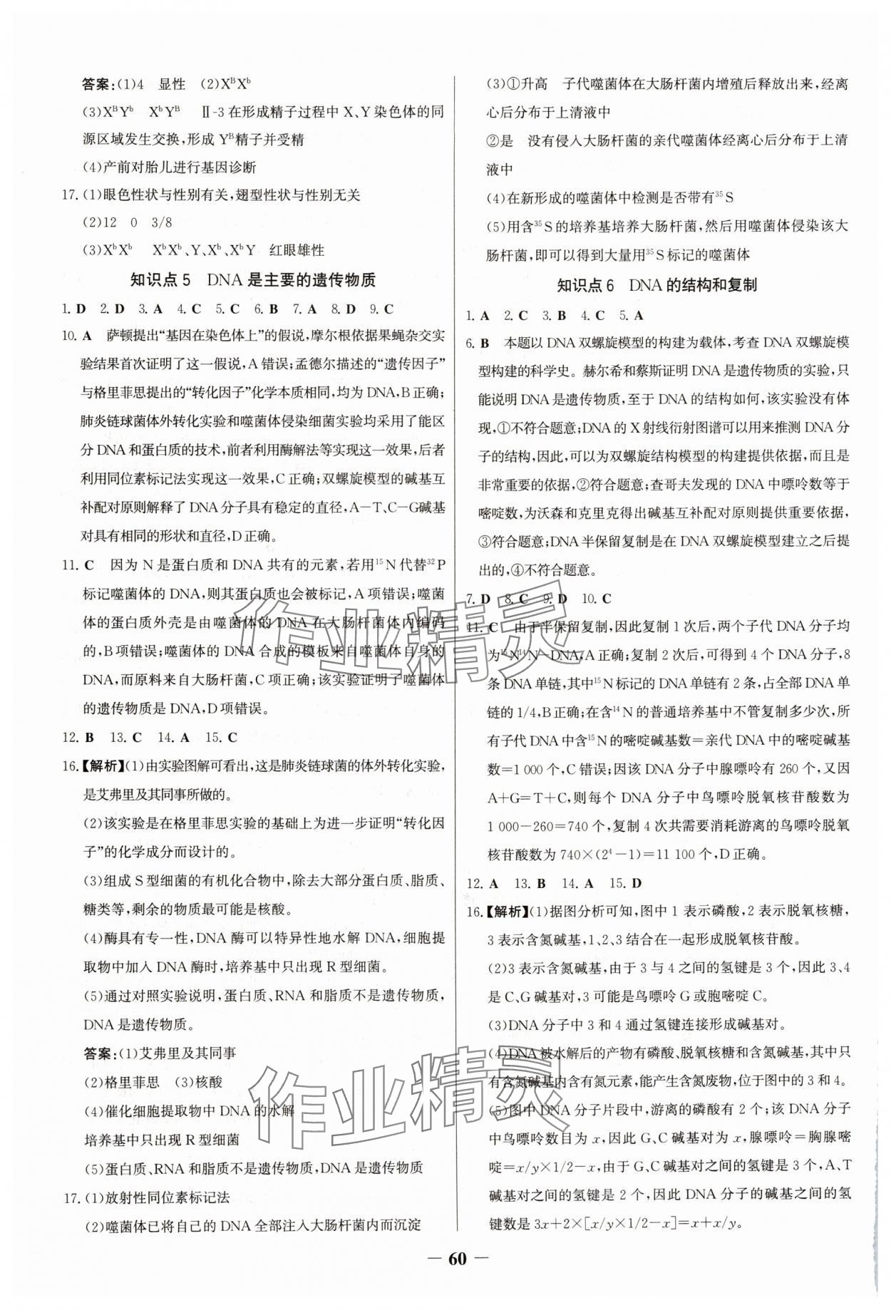 2025年世紀金榜新視野暑假作業高一生物 參考答案第3頁